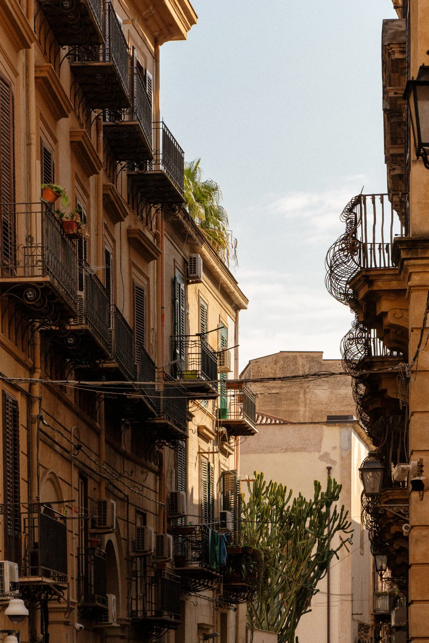 Italy 2026 WEB (002 of 311).jpg