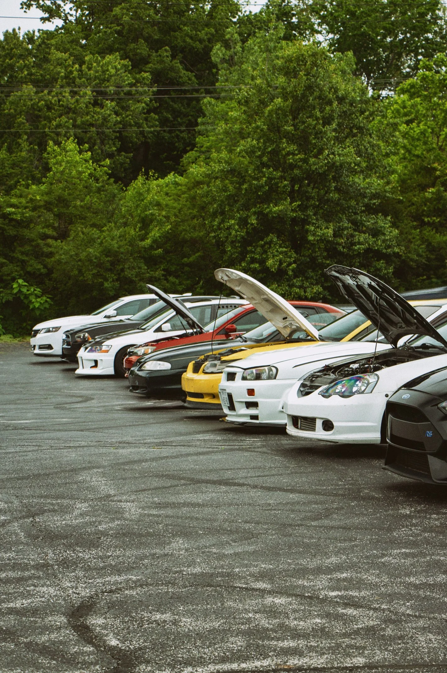 A parking lot with a row of cars, some with open hoods, and a lush green tree line in the background.