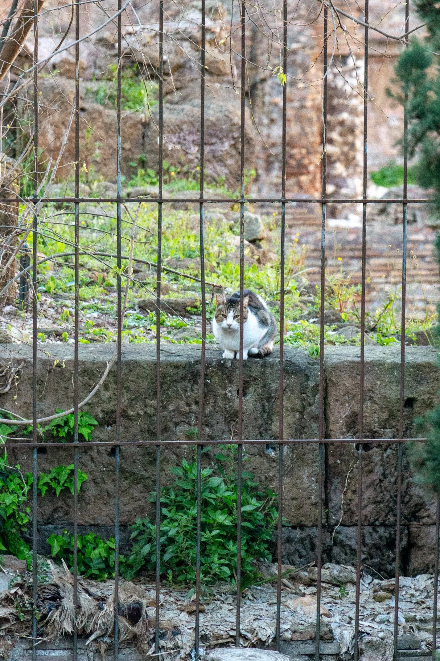 Italy 2026 WEB (186 of 311).jpg