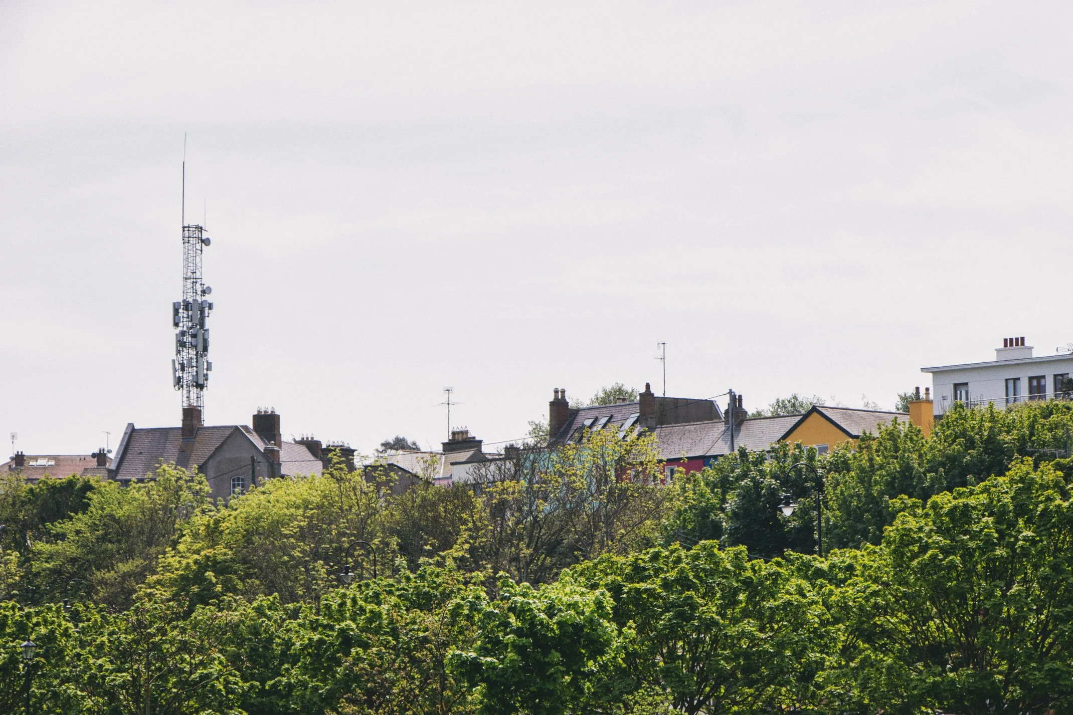 Ireland 2024 WEB (8 of 13).jpg