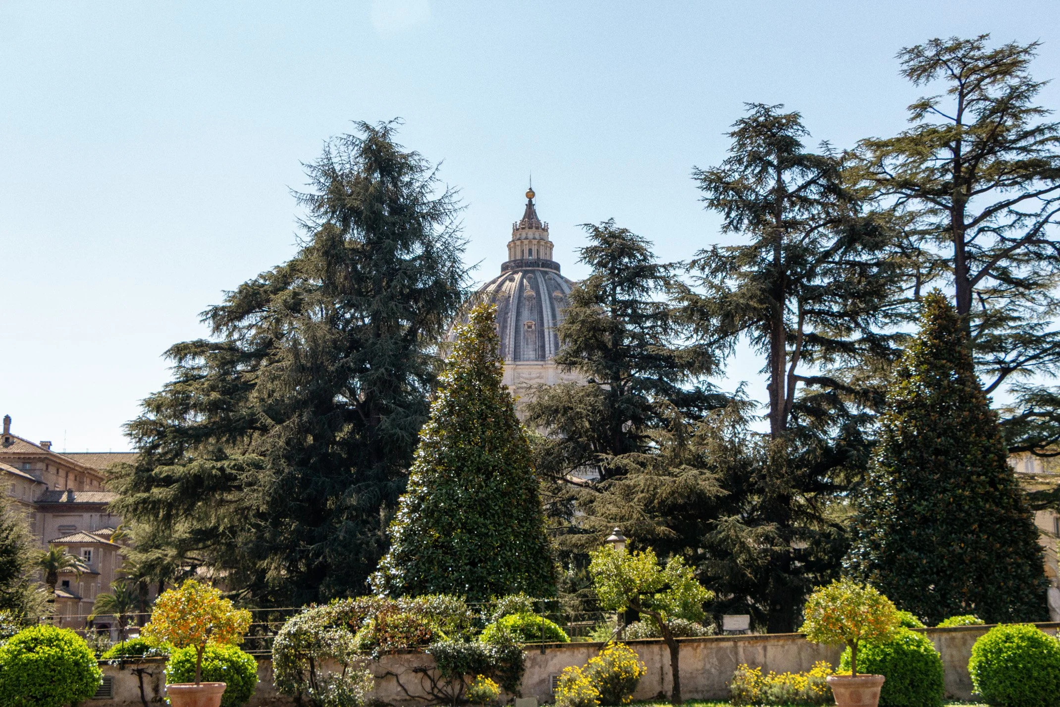 Vatican City 2026 WEB (008 of 030).jpg