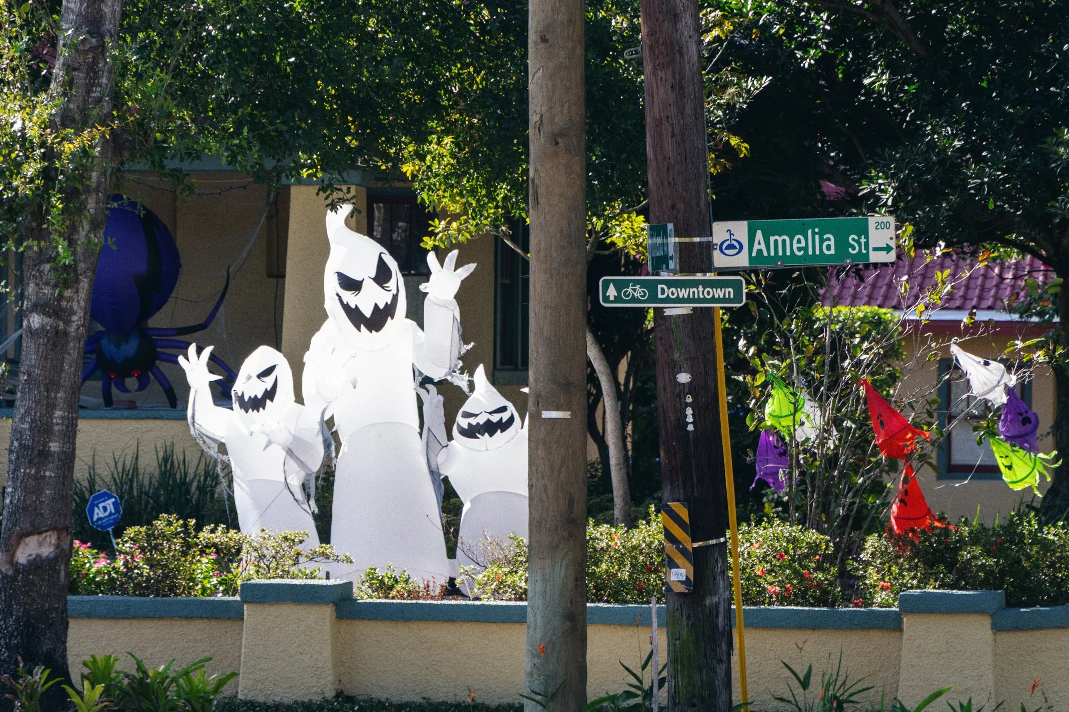 Orlando 2025 Edited WEB (005 of 013).jpg