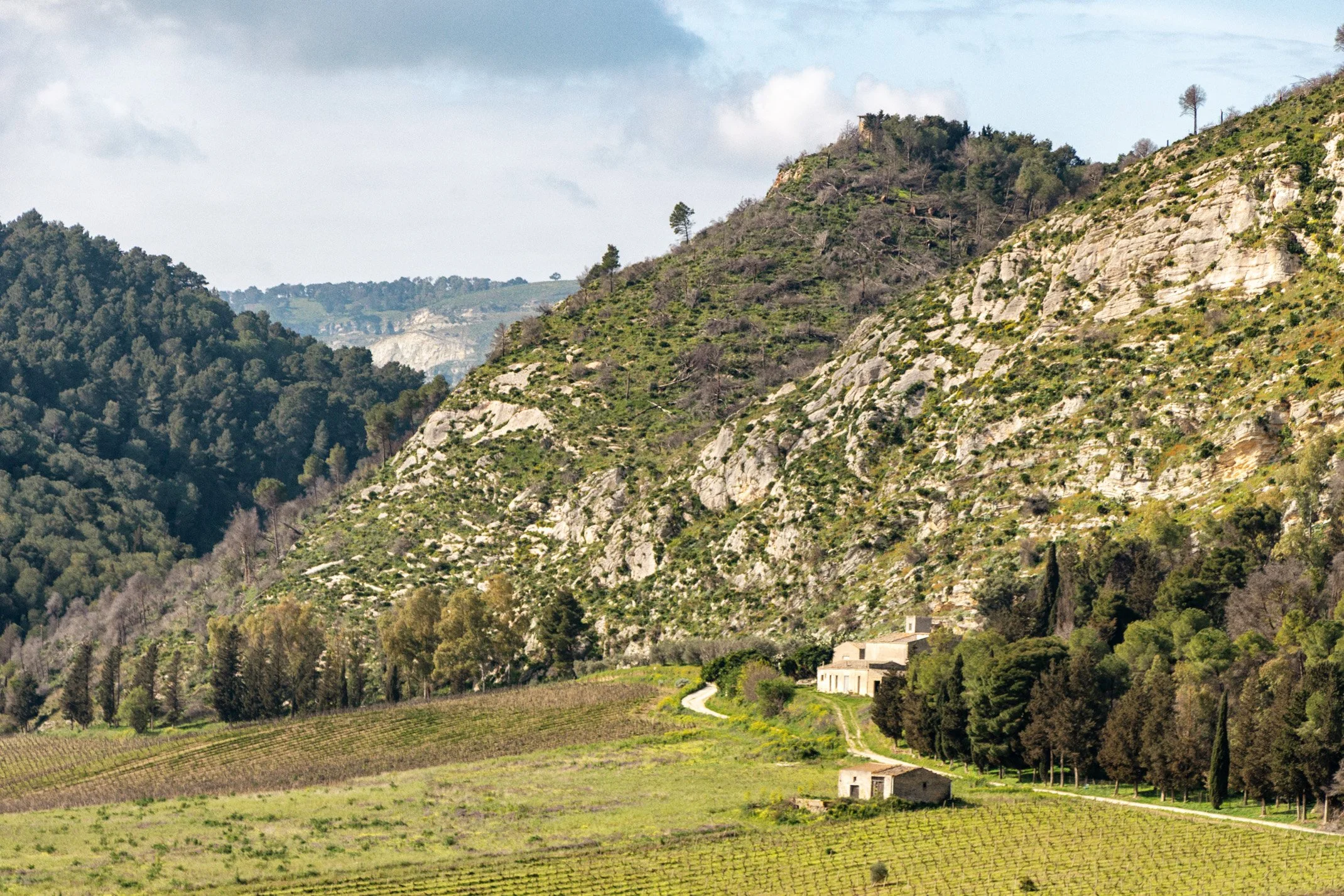 Italy 2026 WEB (050 of 311).jpg