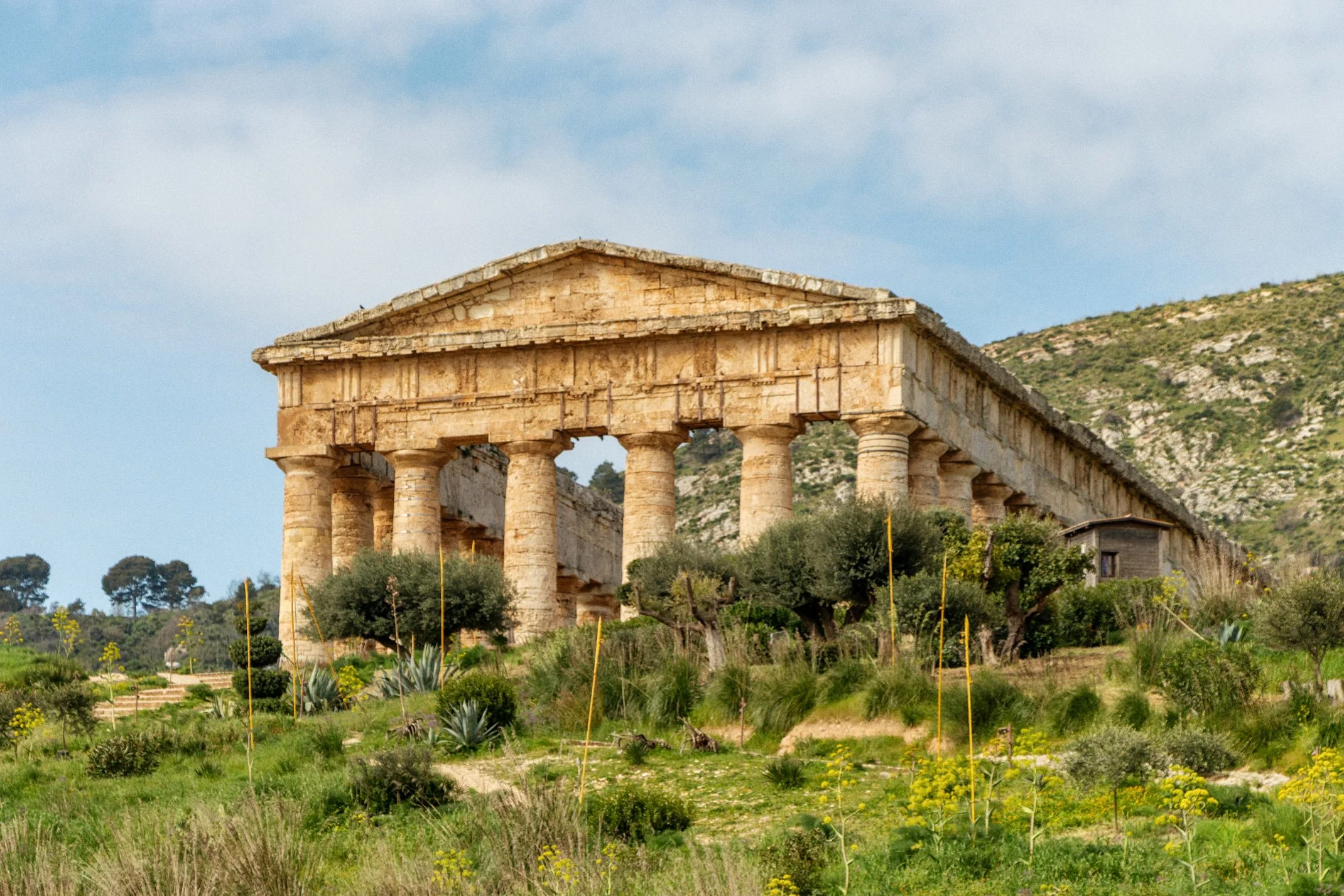 Italy 2026 WEB (042 of 311).jpg