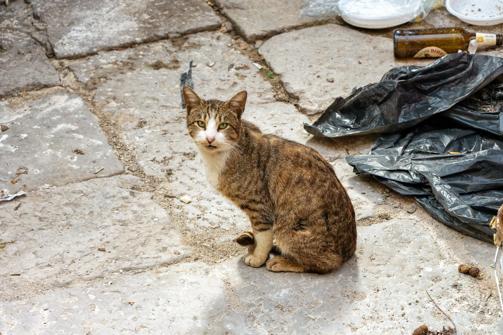 Italy 2026 WEB (071 of 311).jpg