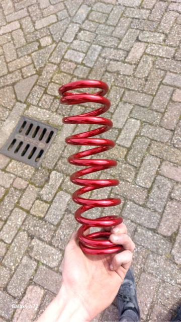 Rode veer in een hand op een bakstenen stoep.