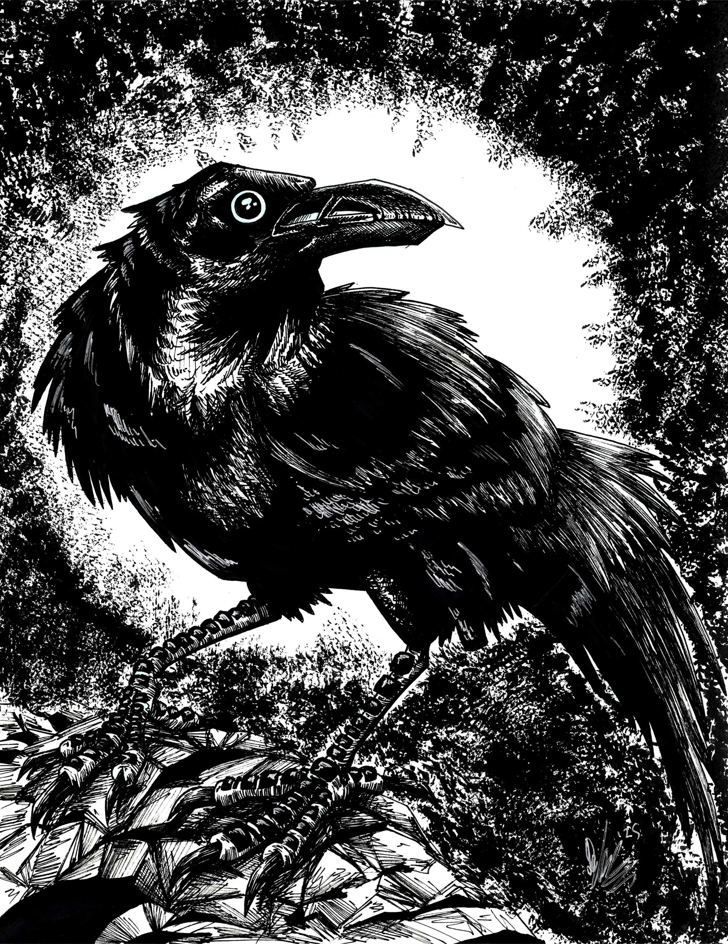 Raven - original