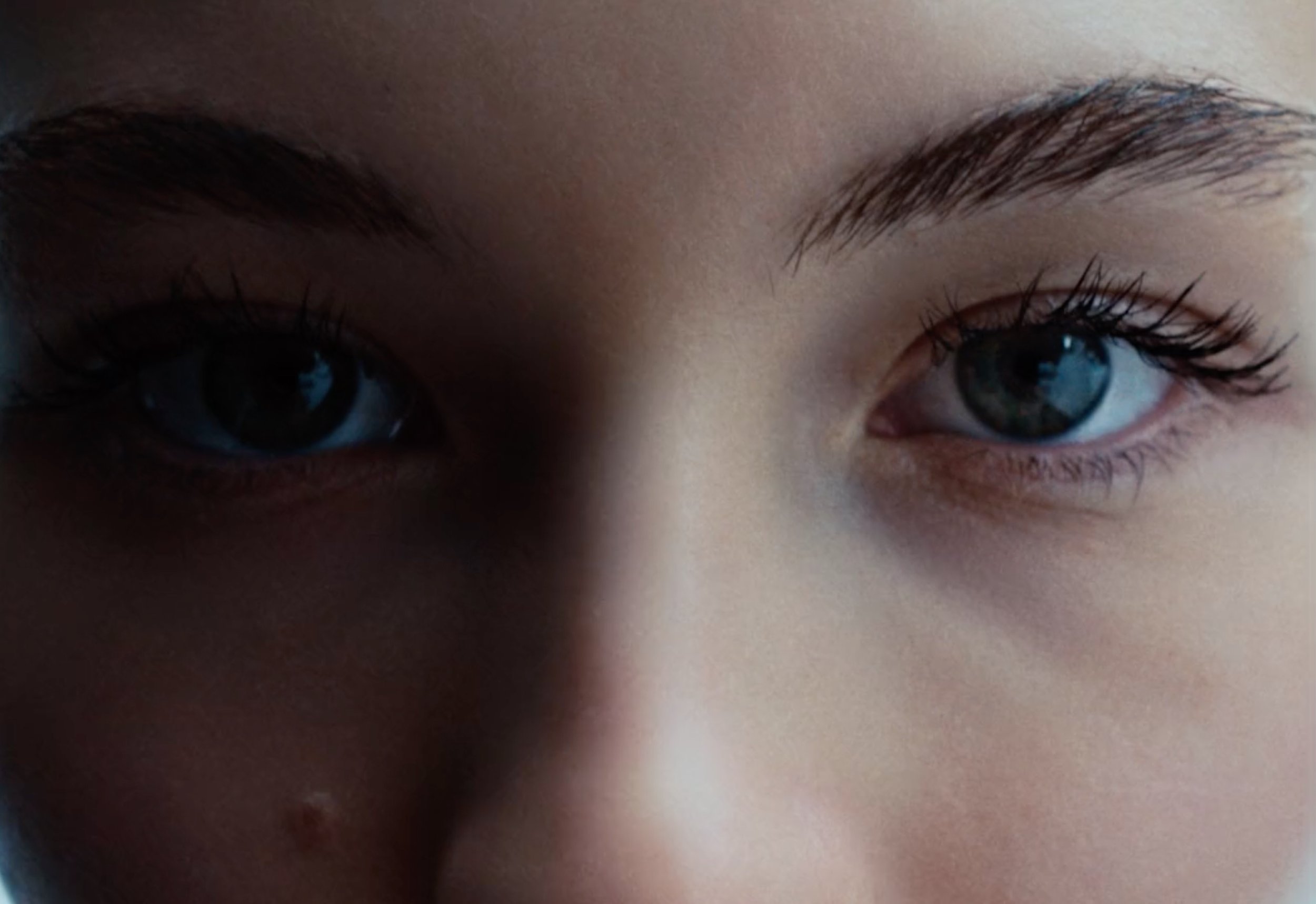 Screen Shot 2025-03-14 at 12.56.46 PM.jpeg