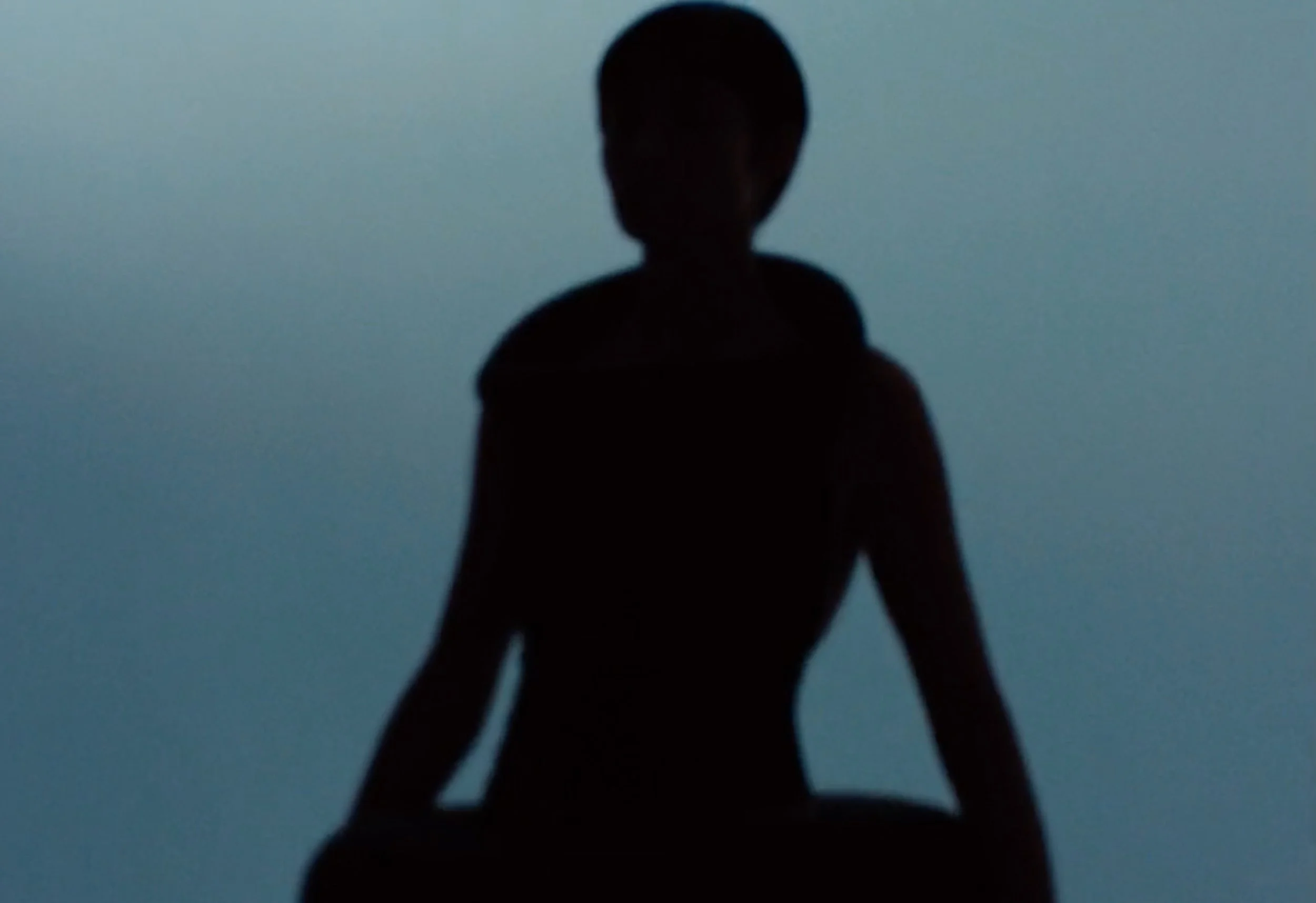 Screen Shot 2025-03-14 at 12.56.16 PM.jpeg