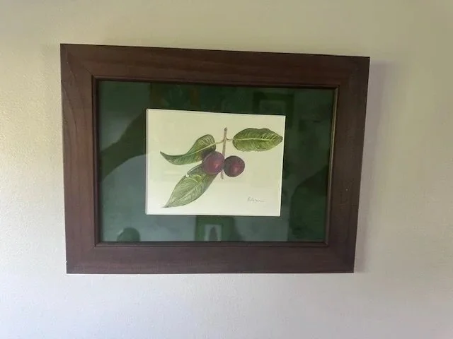 berries.jpg