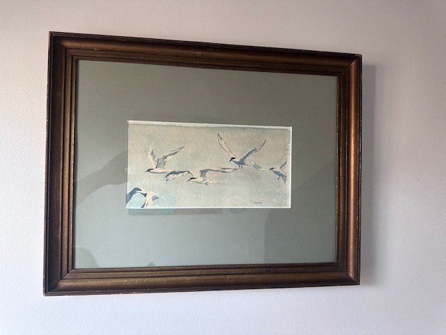 Seagulls - Signed Watercolor