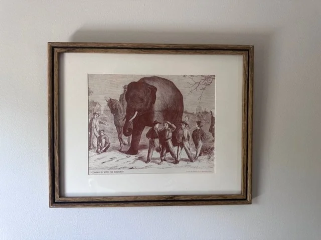 Coming in with the Elephants