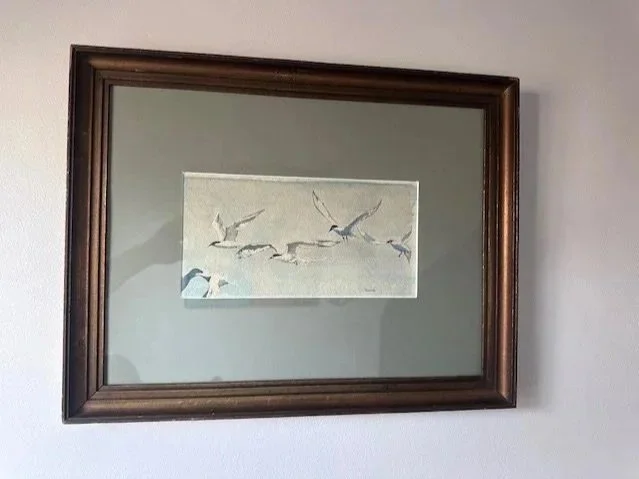 seagulls.jpg