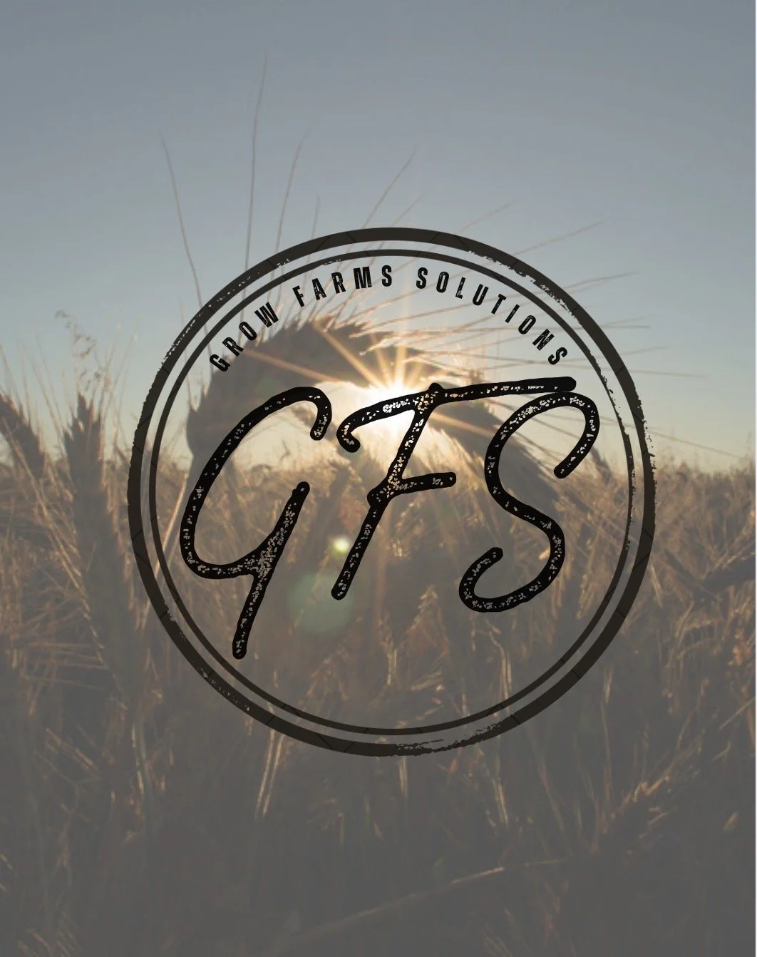 From Moisture To Harvest, What You Need To Know