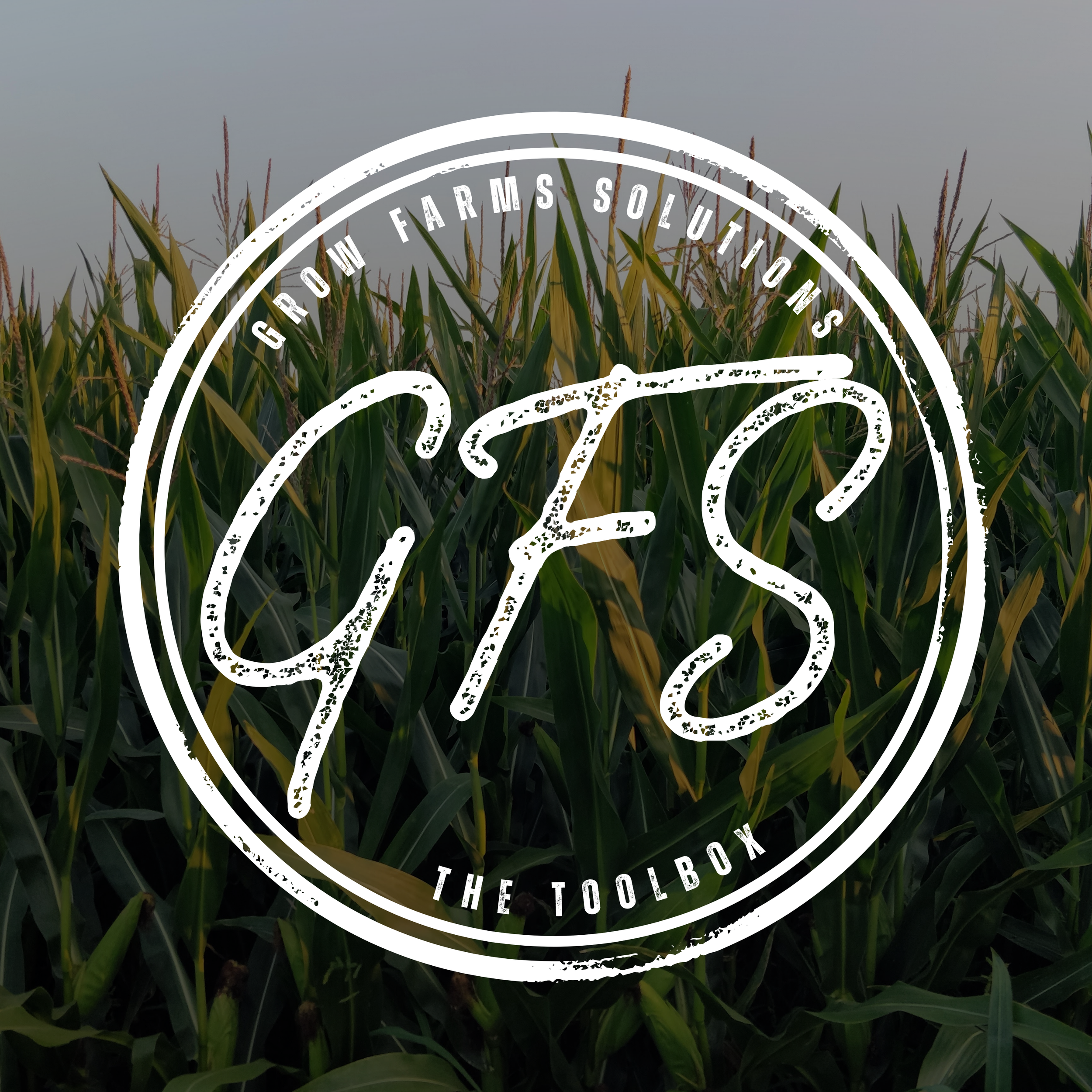A logo overlay with the text 'Groom Farms Solutions' and 'The Toolbox' around a stylized 'GTS' on a background of tall green corn plants in a field.
