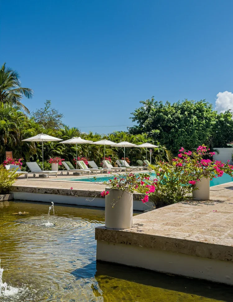 Travel Limbo? Learn how to travel from your living room!