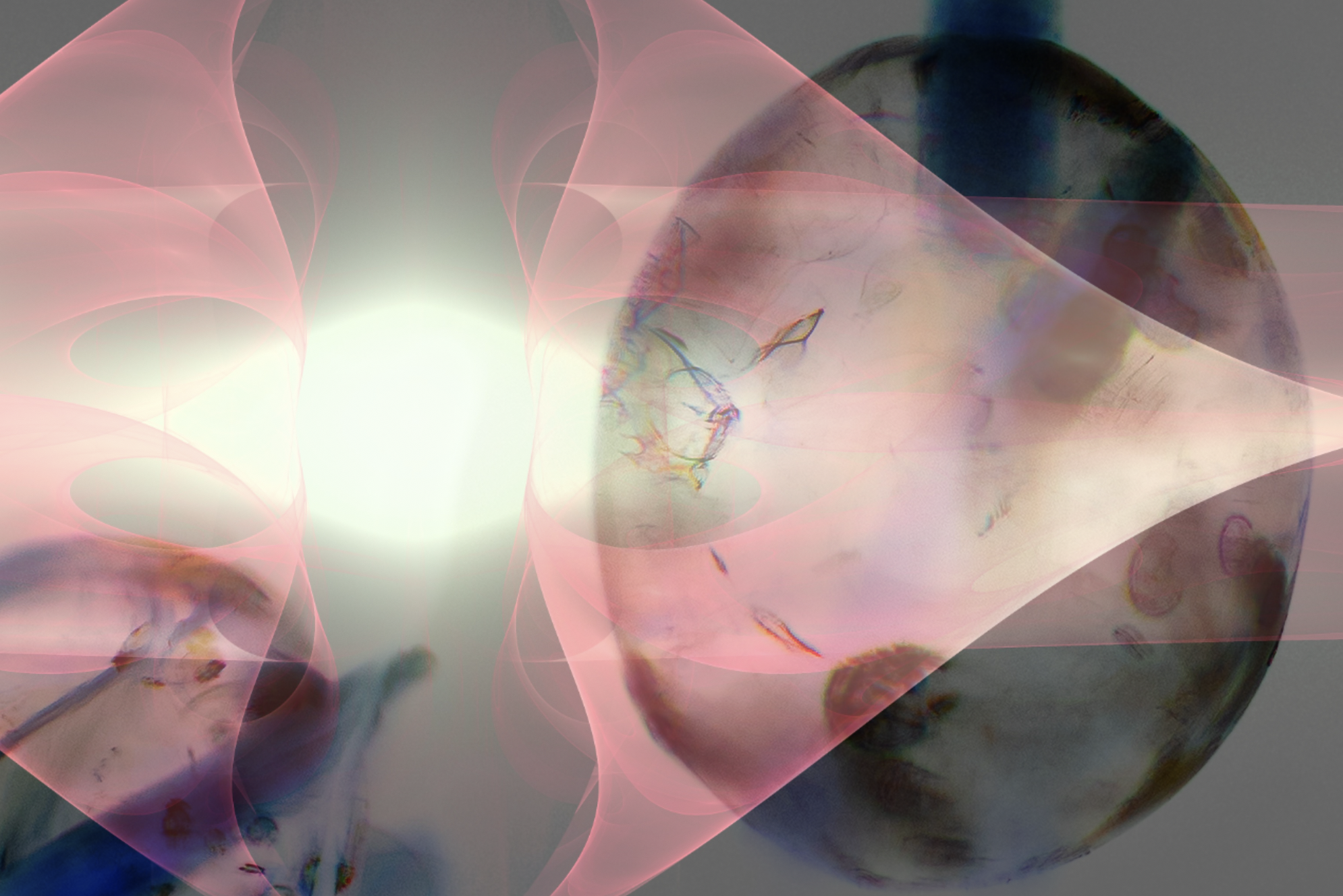 The 34-20 Channel of Charisma: Power in the Now