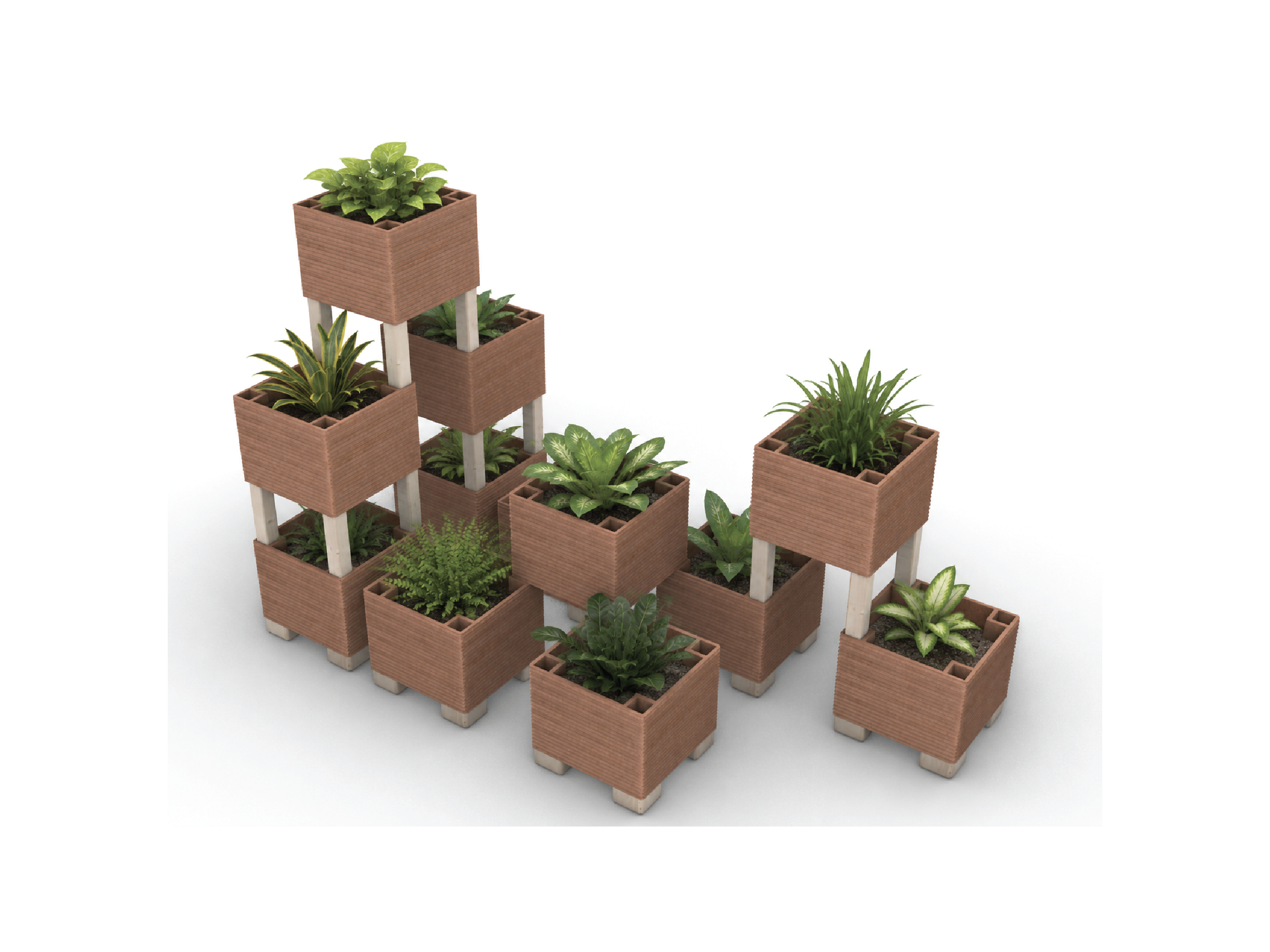 bruce portfolio-01.png