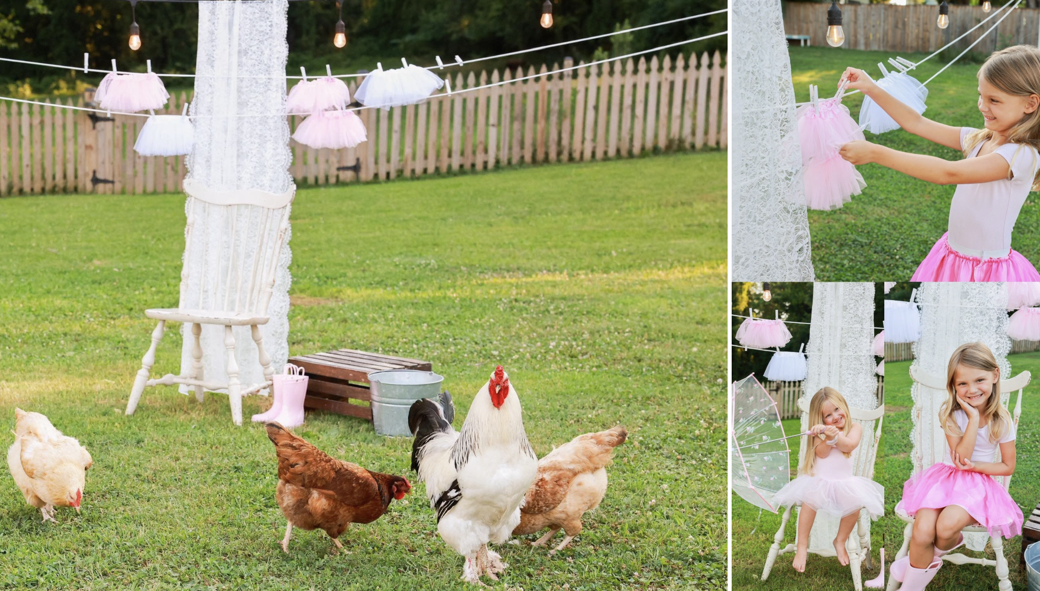 Chicken Tutu Mini's with Nikki Stevens Photography