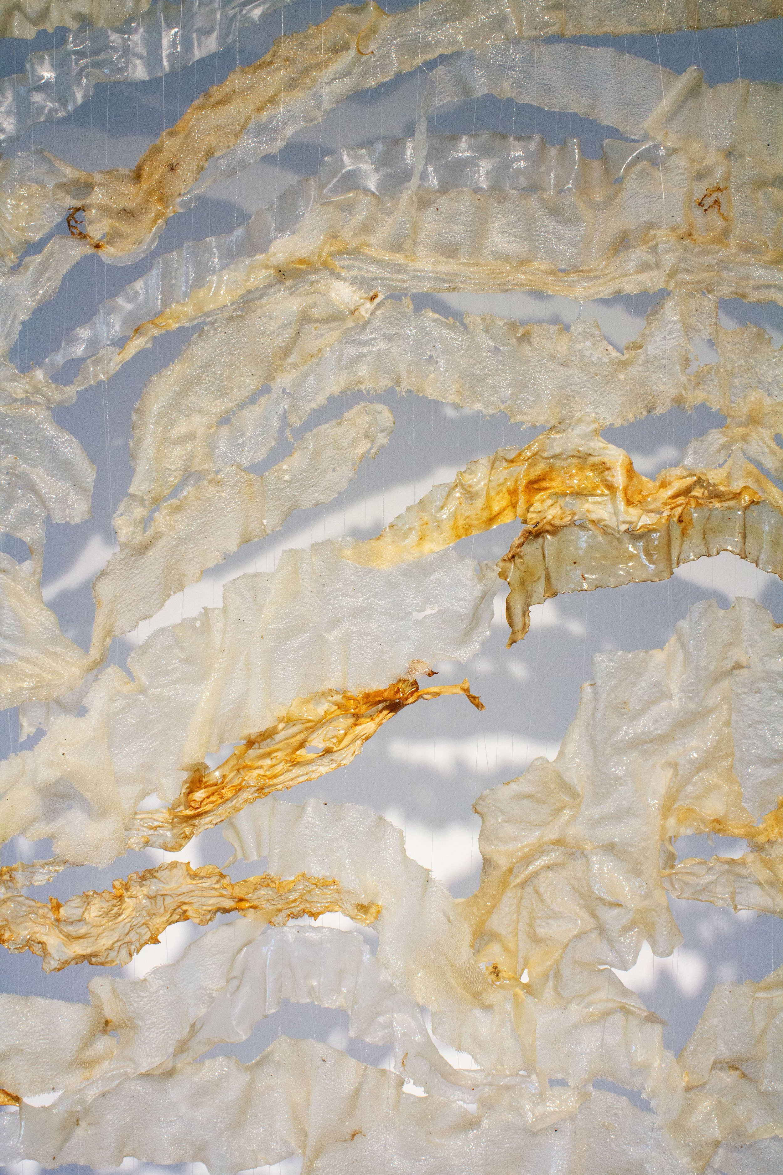 Store-of-Fragments_Detail_01.jpg