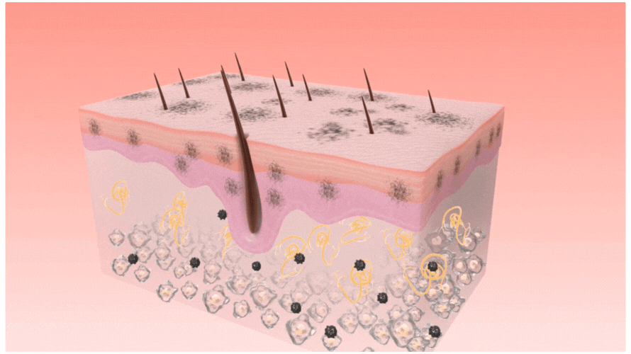 Deep skin rejuvenation for hydration, repair, and long-term glow.