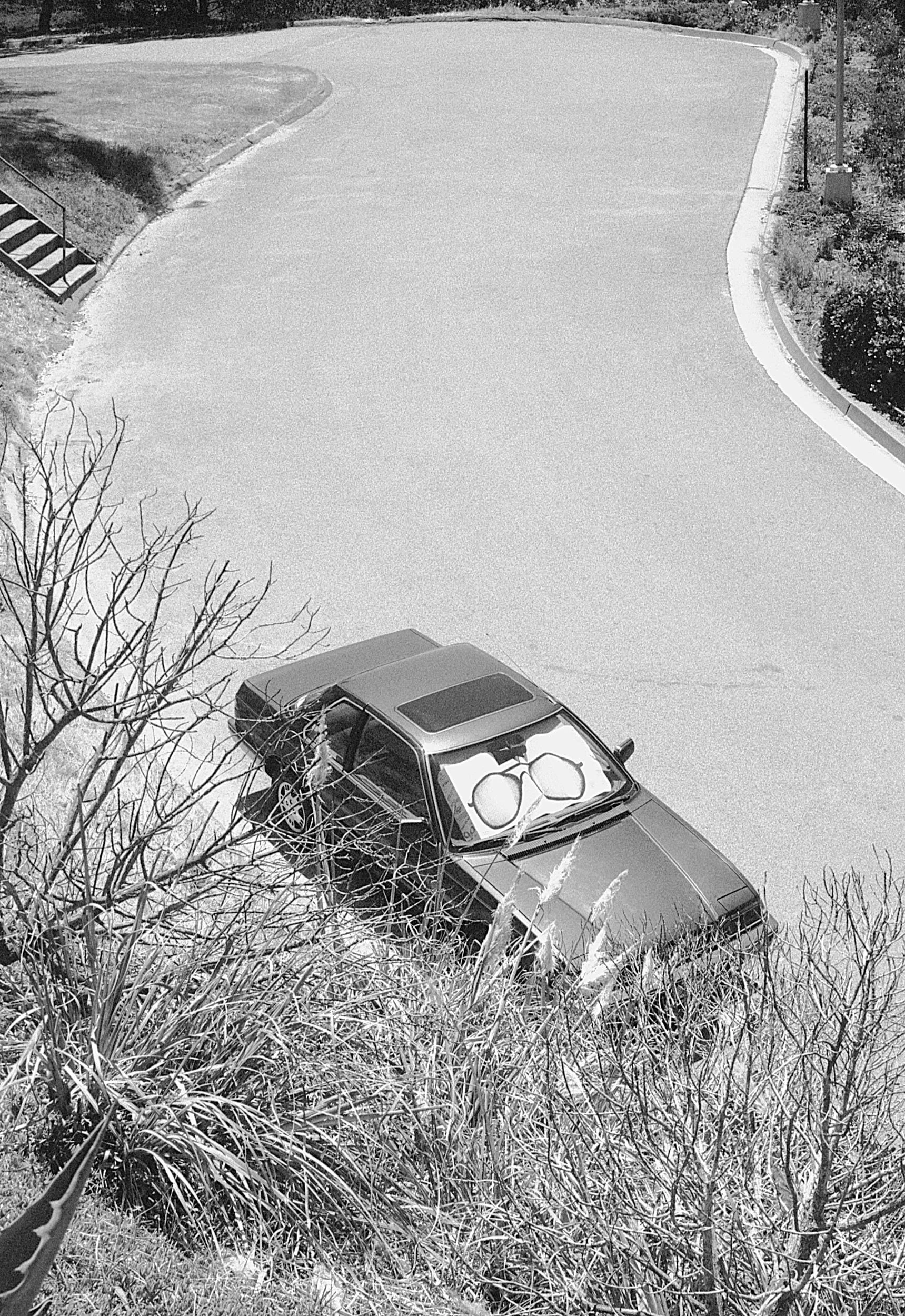 Black car parked on a grassy hillside next to a curve in the road, with trees and shrubs in the foreground and background.