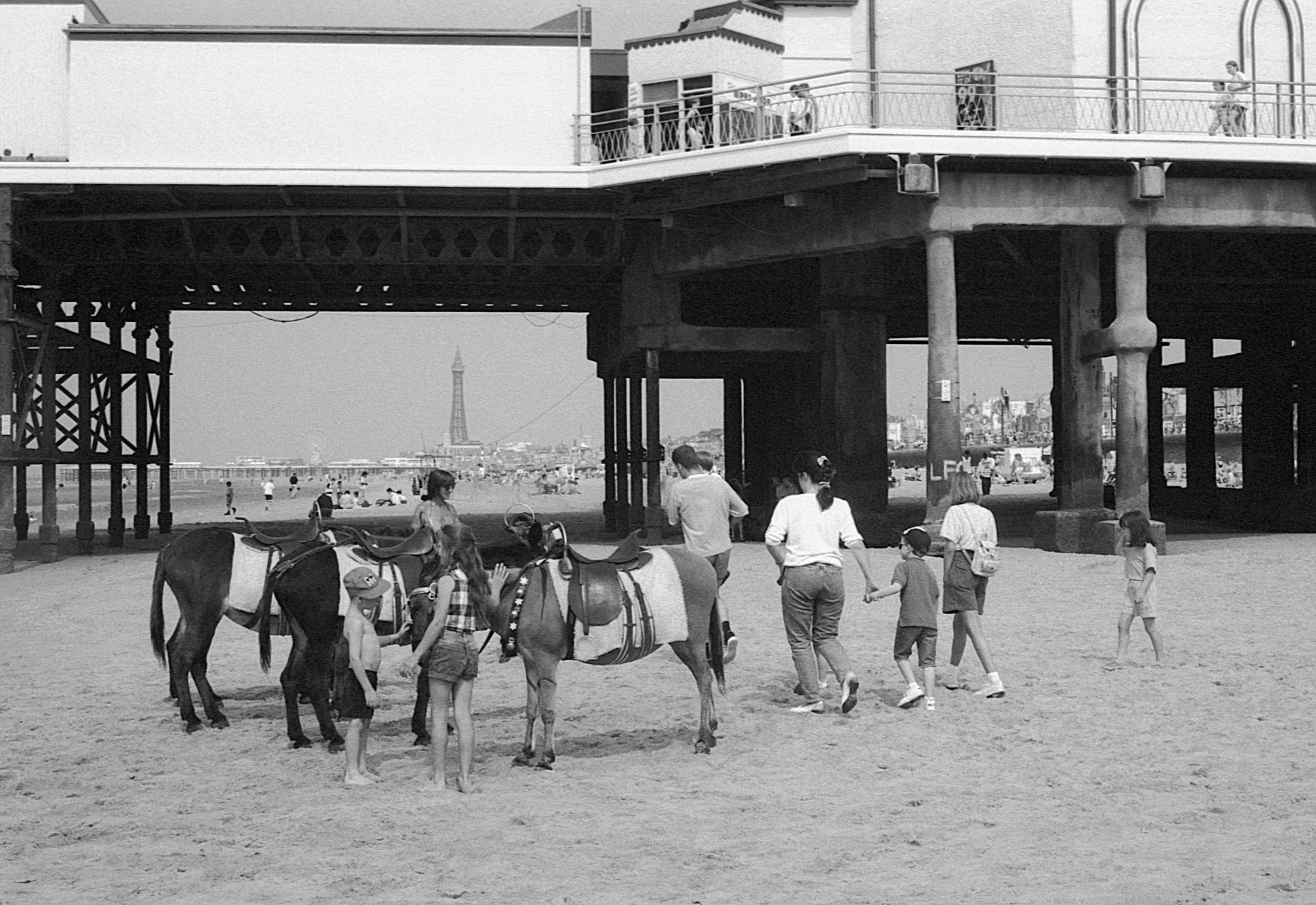 People gathering around a horse on a sandy beach under a large pier, with the Eiffel Tower visible in the distance.