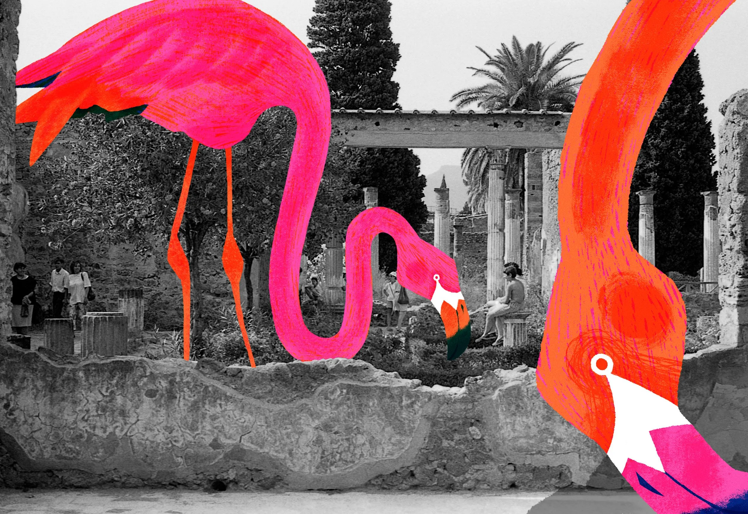 Steph Coathupe and Stephen Clarke Up Deva Flamingoes 2023.jpg