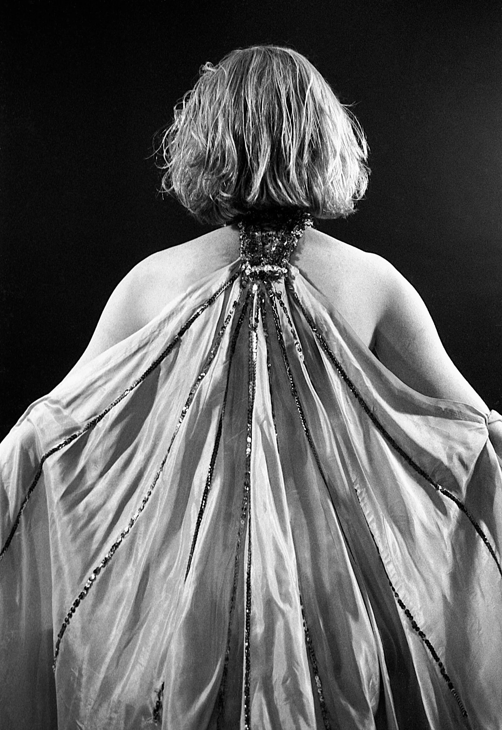 Stephen Clarke Back.jpg