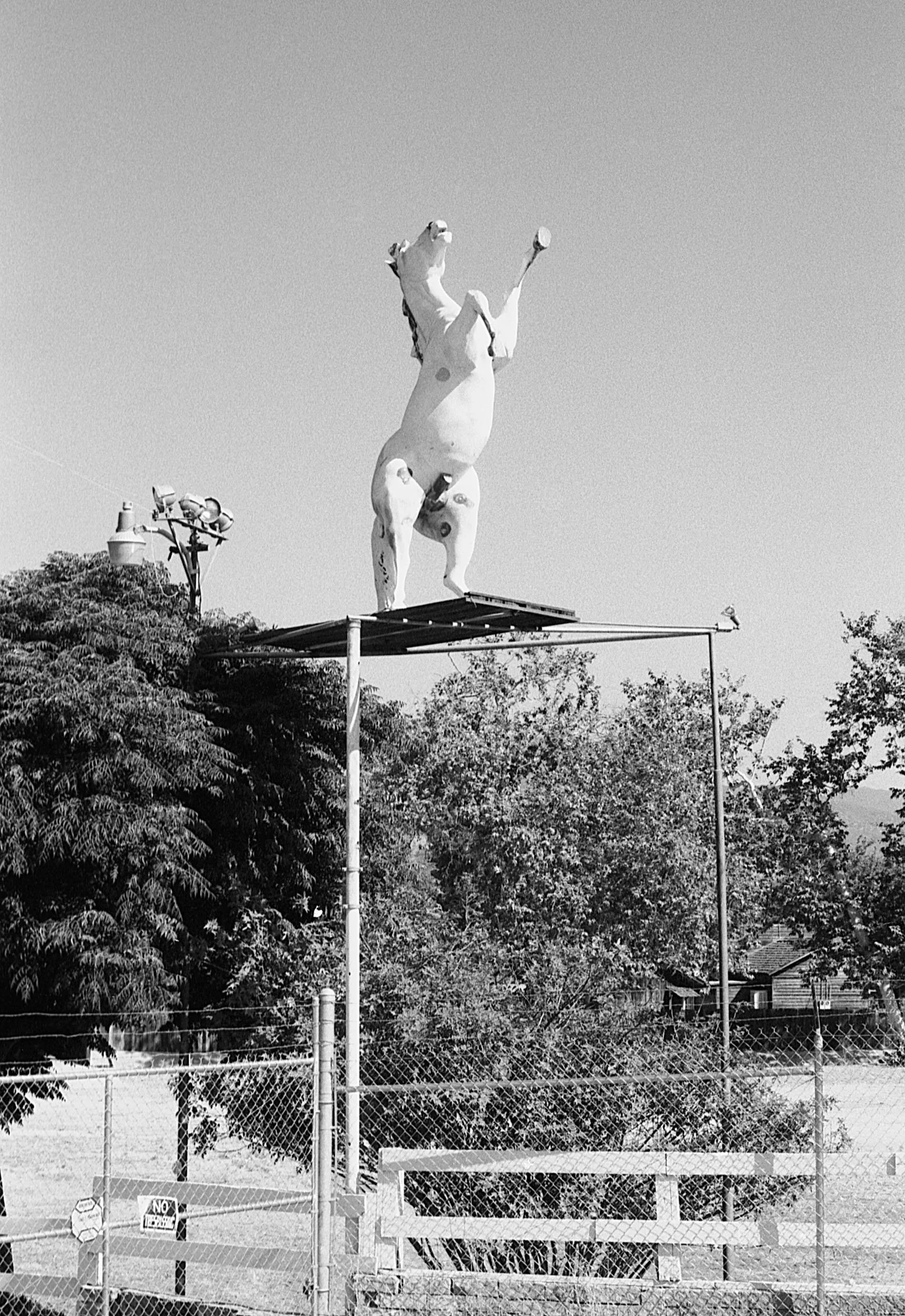 A large animal sculpture resembling a horse standing on its hind legs with one front leg raised, placed on a platform above a construction site, with trees and a clear sky in the background.