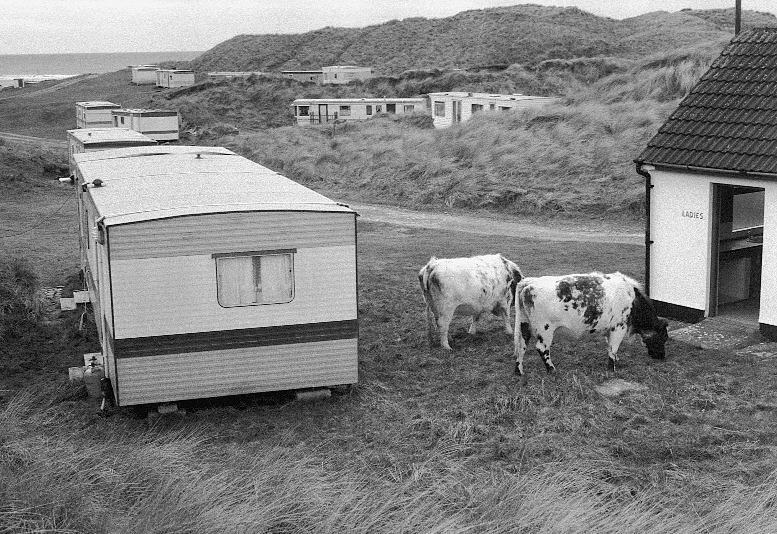 Stephen Clarke Ladies Ireland 2004.jpg