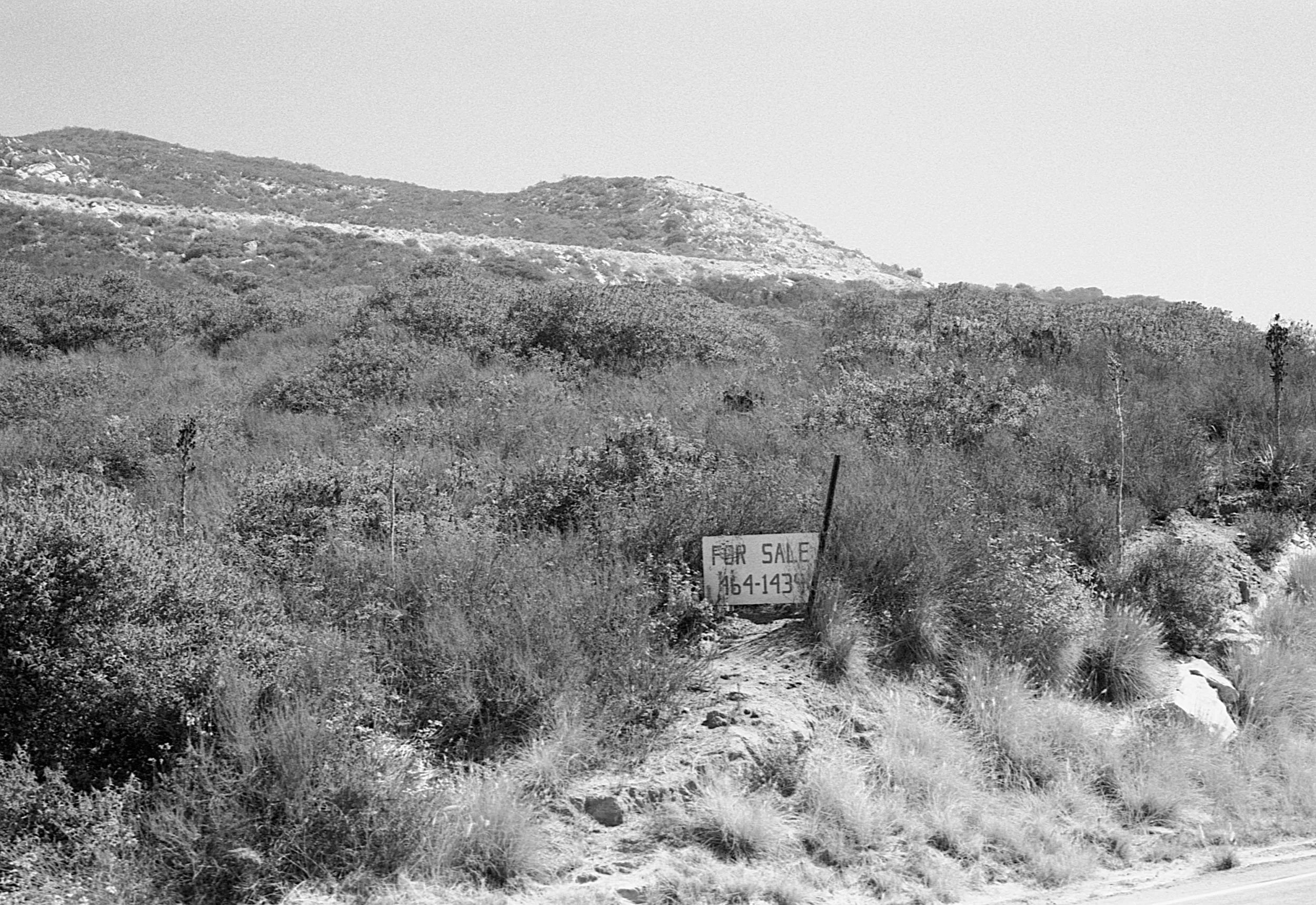 Stephen Clarke For sale scrub San Diego 1987.jpg