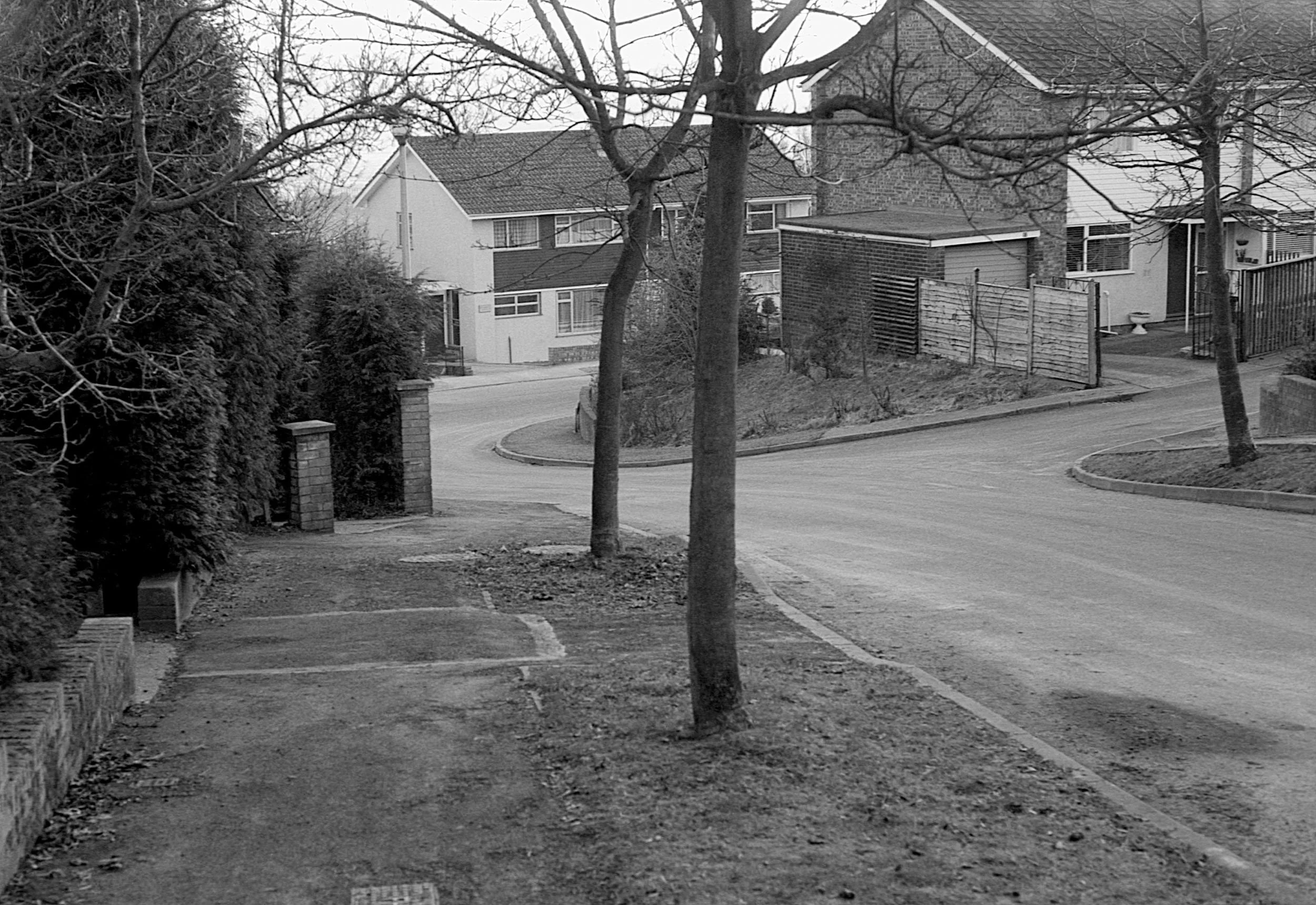 A residential street with a sidewalk, trees, and houses in black and white.