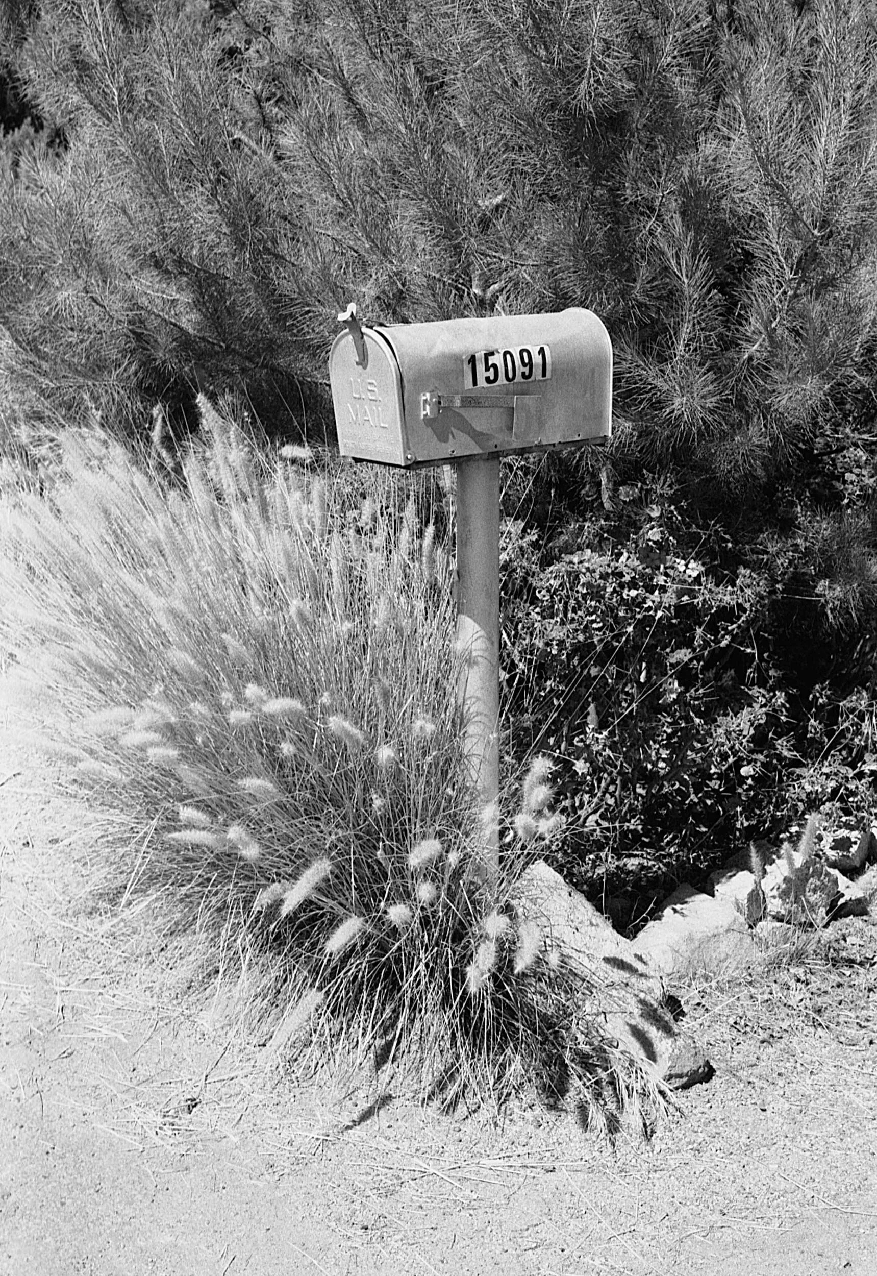 Stephen Clarke 15091 Mailbox San Diego 1987.jpg