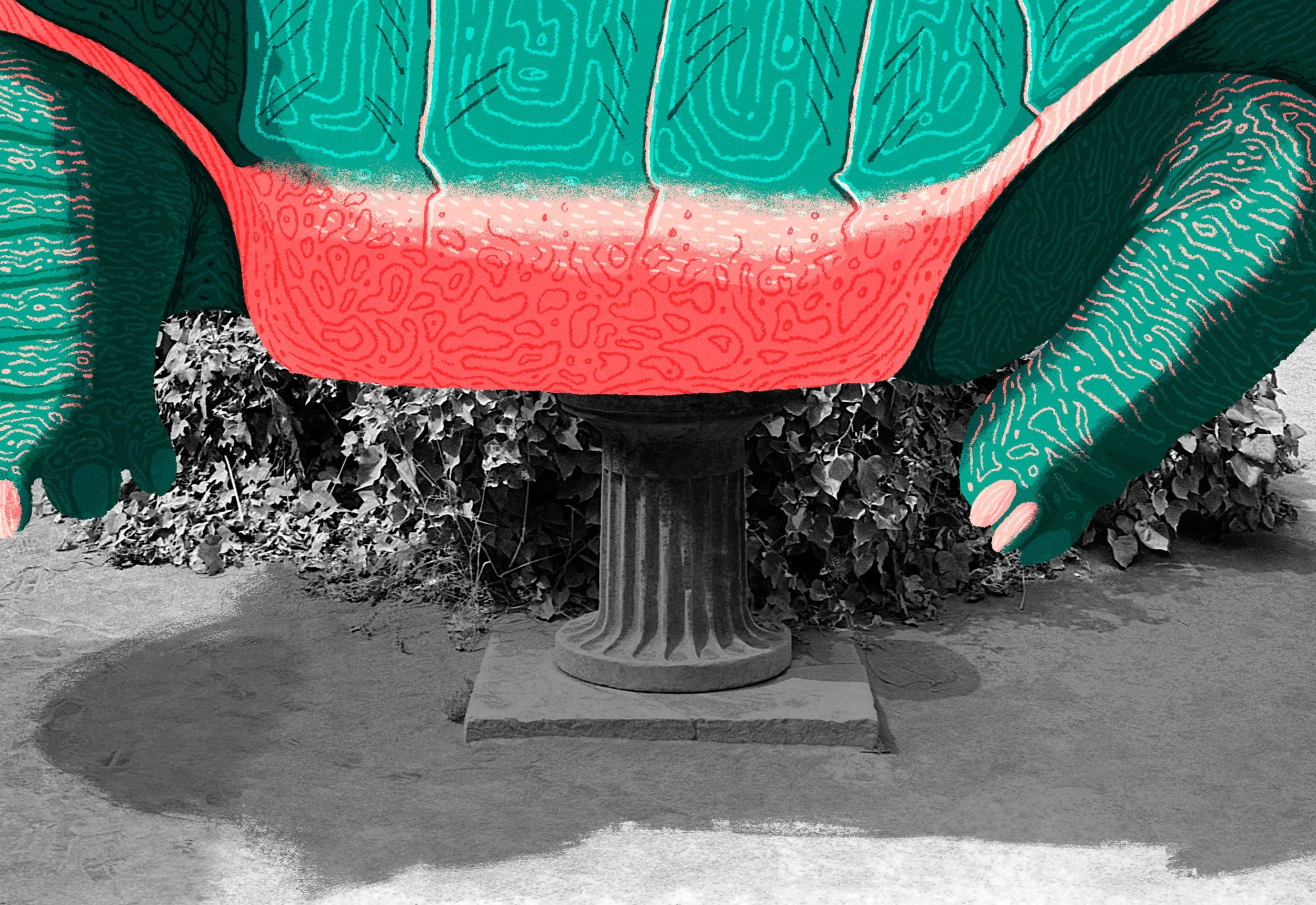 Steph Coathupe and Stephen Clarke Up Deva Tortoise 2023.jpg