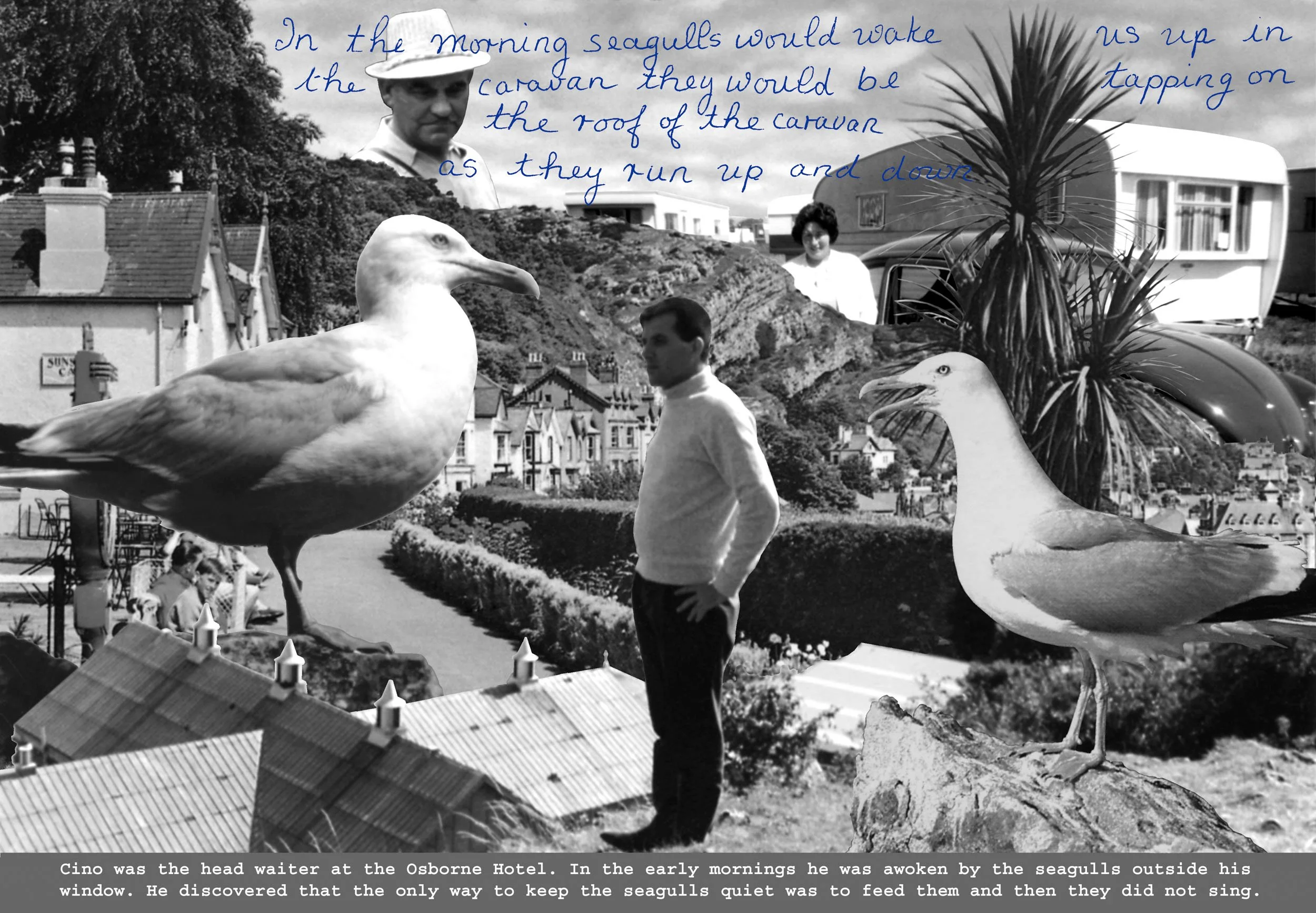 Stephen Clarke The Seagulls Morning Call (black and white image 2) 2007.jpg