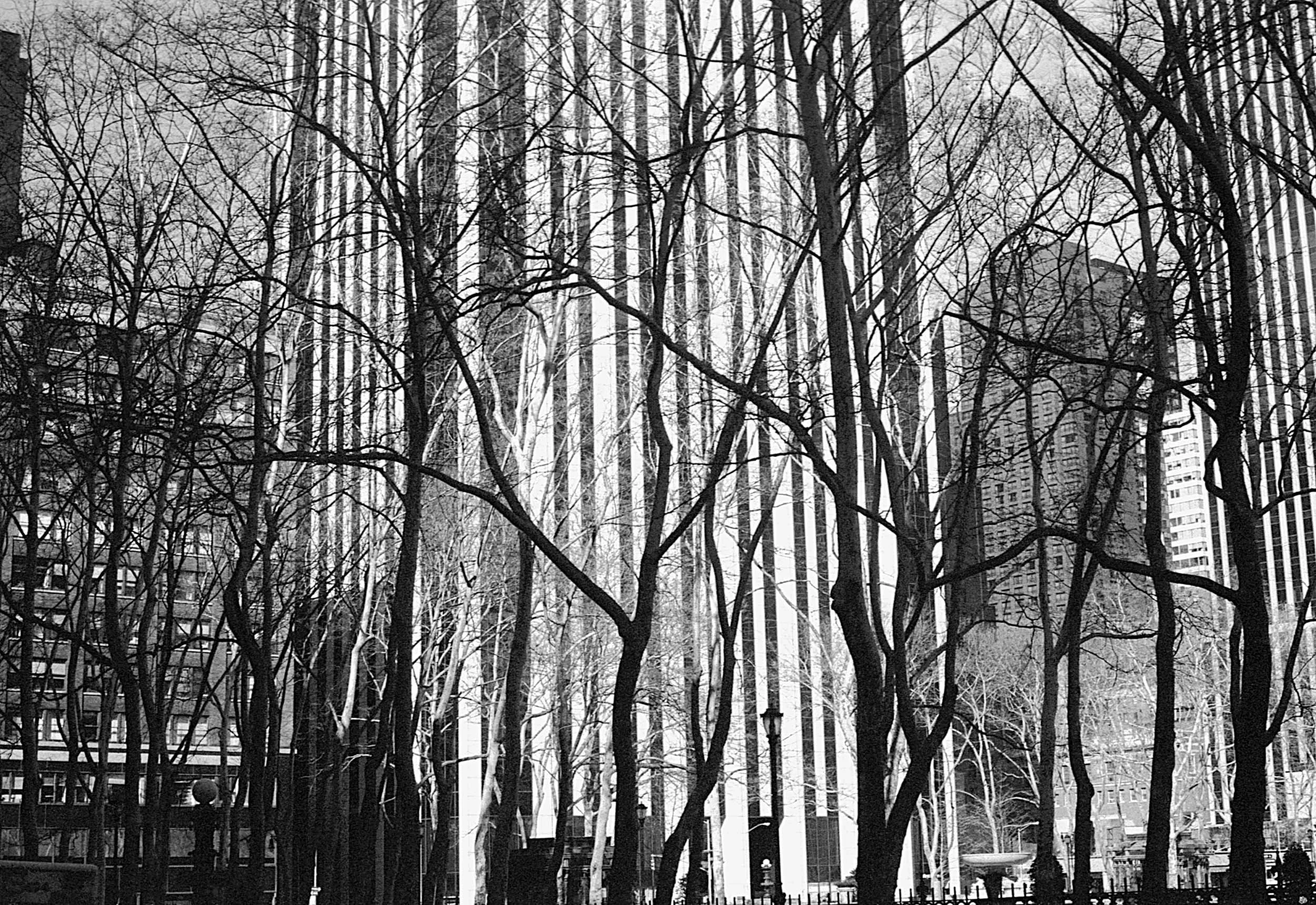 Stephen Clarke Buildings and trees New York 1996.jpg