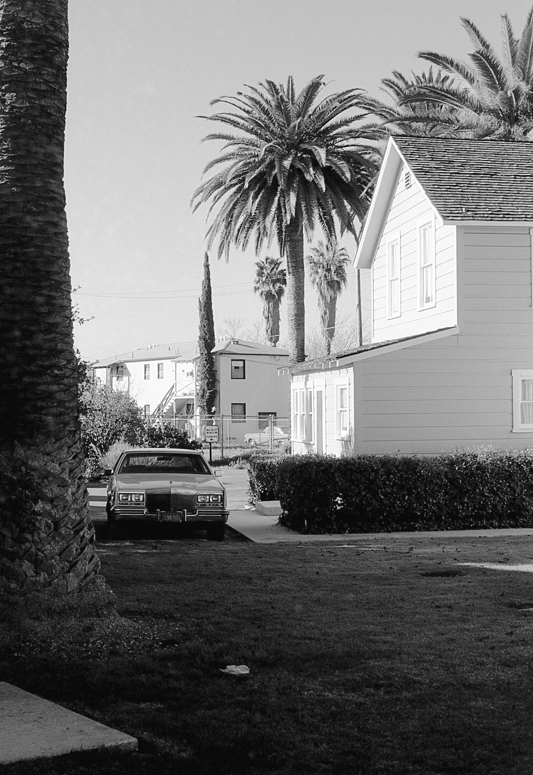 A black-and-white photo of a residential area with palm trees, a two-story house, a vintage car parked on the street, bushes, and other houses in the background.
