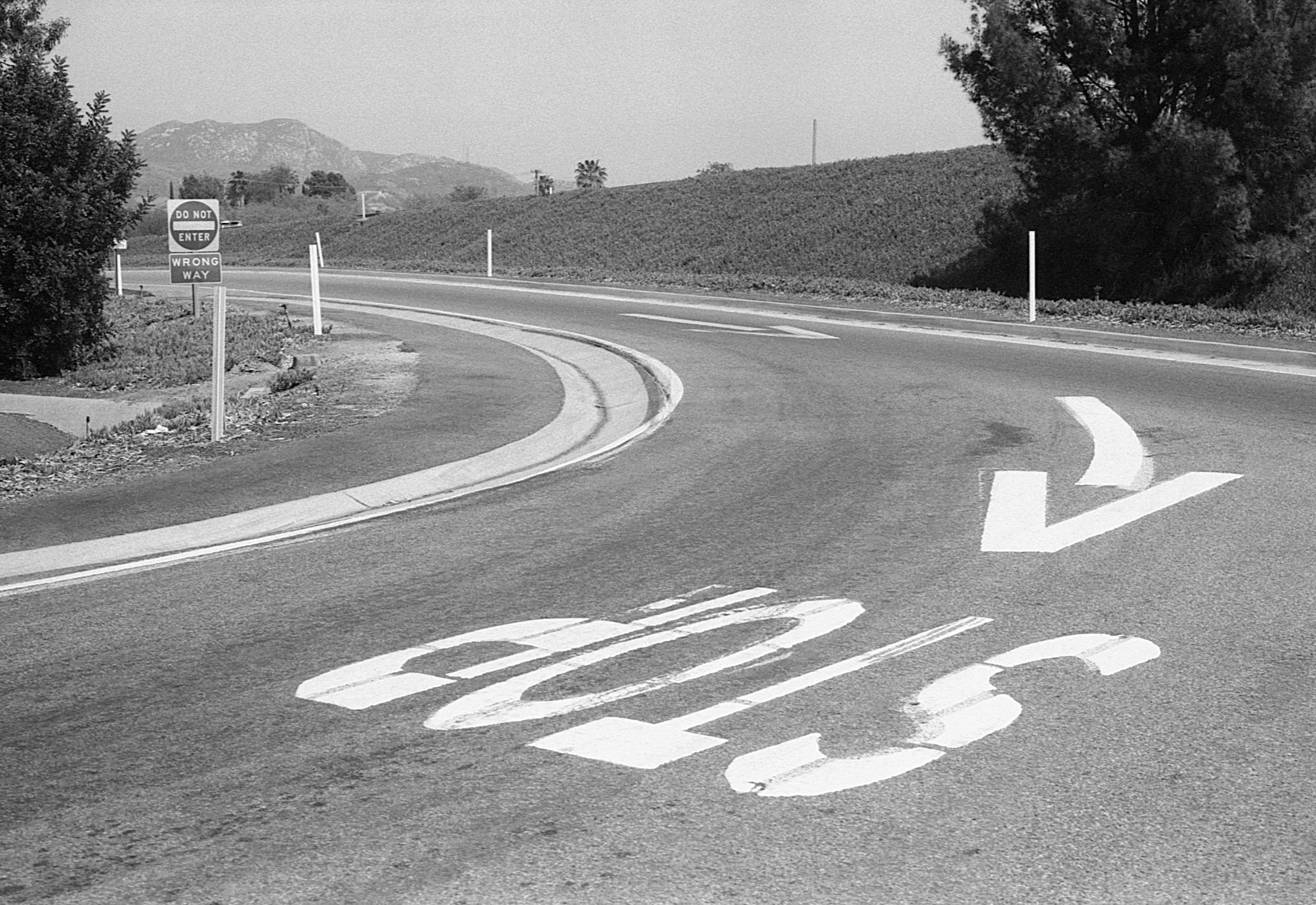 A paved road with a right turn arrow and the word STOP painted on the surface, surrounded by trees and mountains in the background.