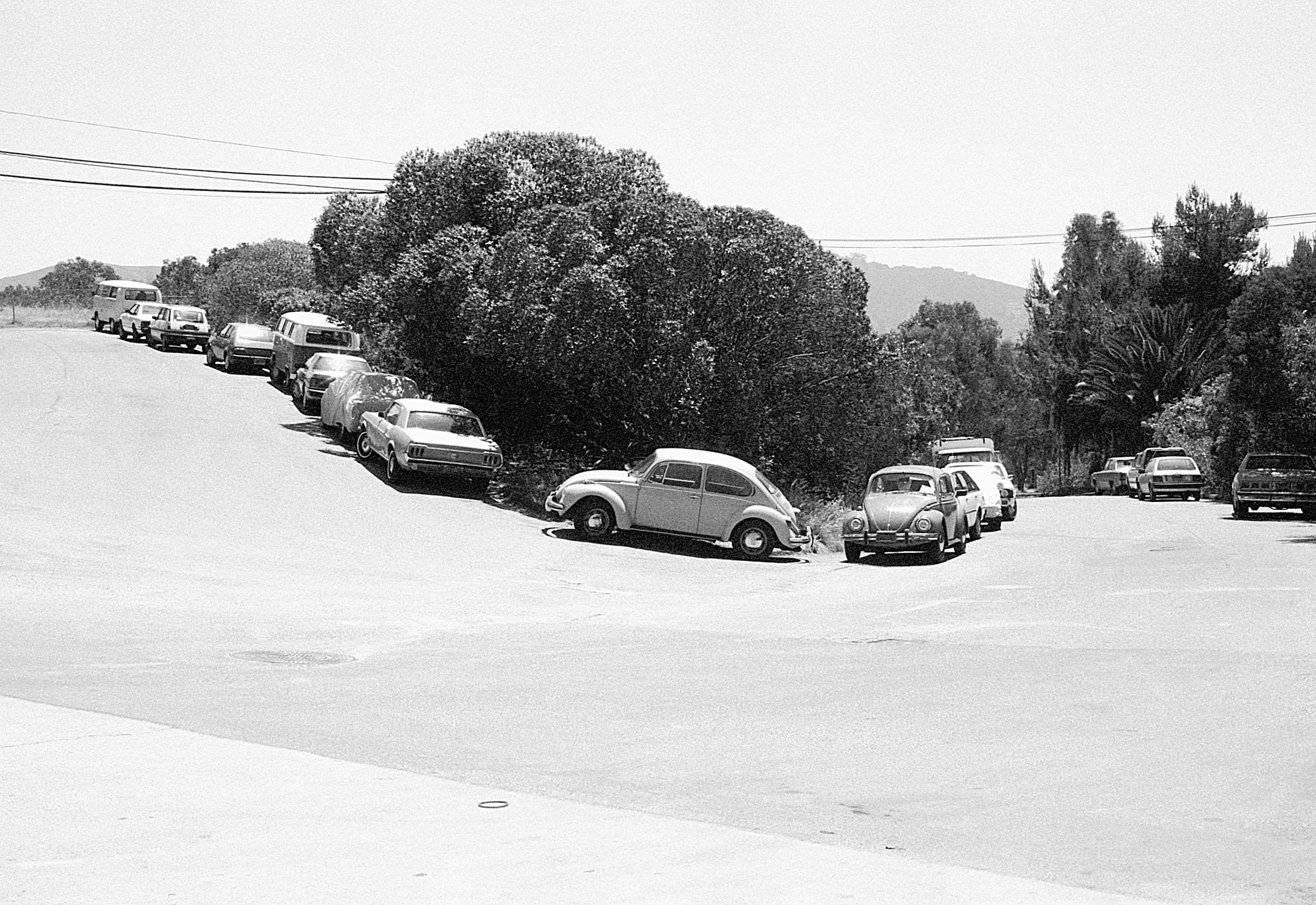 Stephen Clarke Beetles on a hill San Diego 1987.jpg