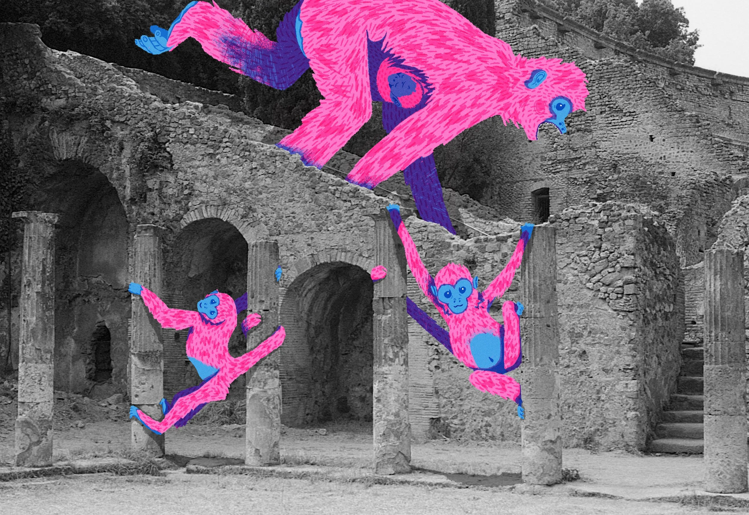 Steph Coathupe and Stephen Clarke Up Deva Spider Monkeys 2023.jpg