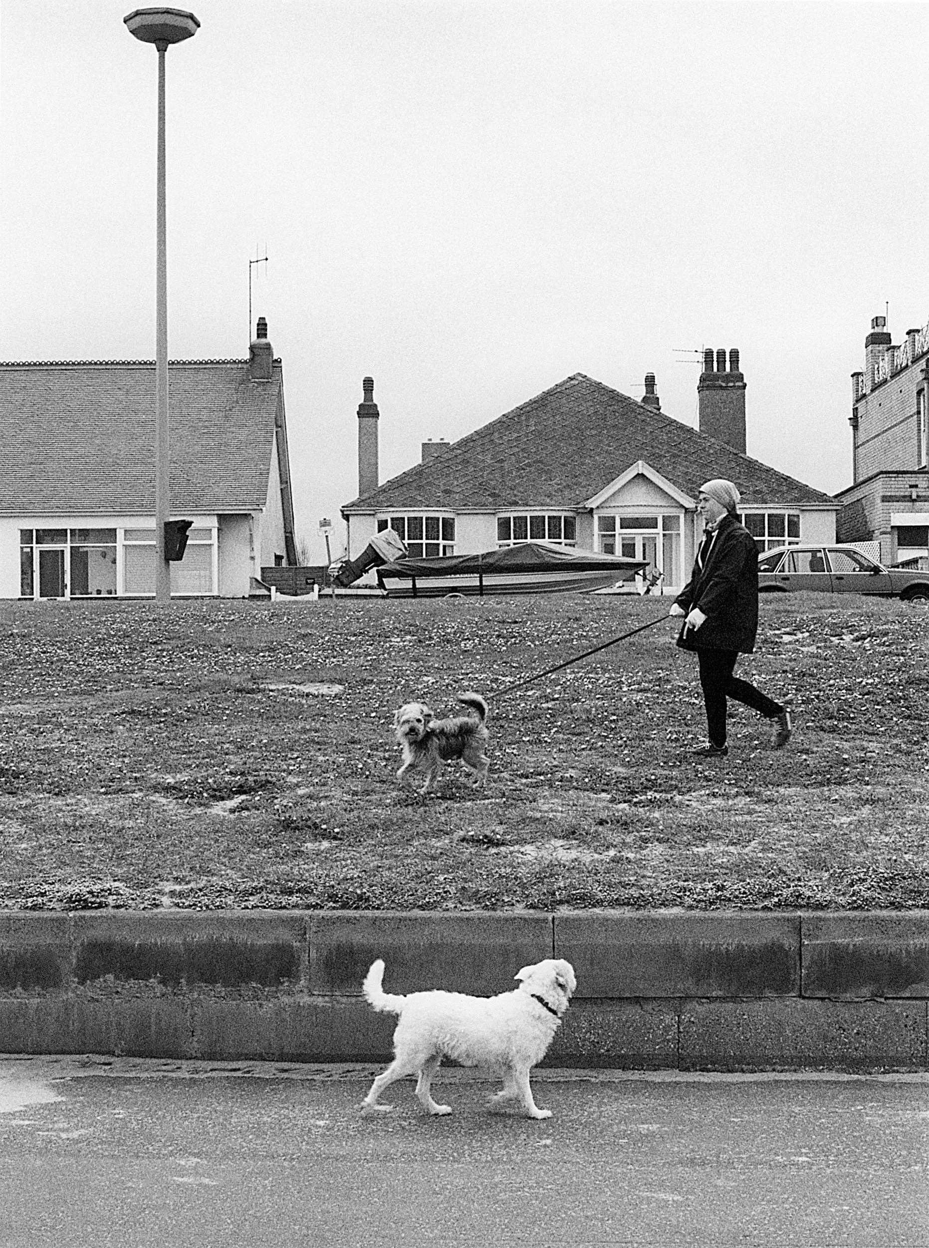 A black and white photo of a woman walking two dogs, with one dog on the sidewalk and the other on a grassy area, in a residential neighborhood with houses and parked cars in the background.