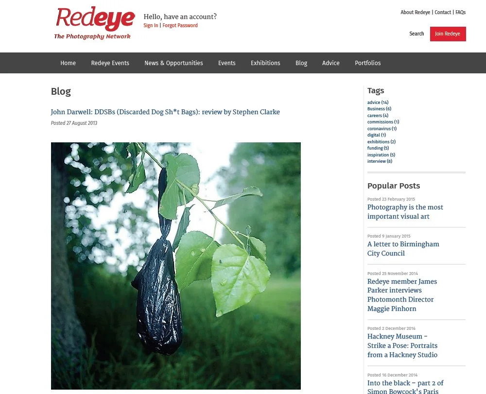 A black plastic bag hanging from a tree branch with green leaves.