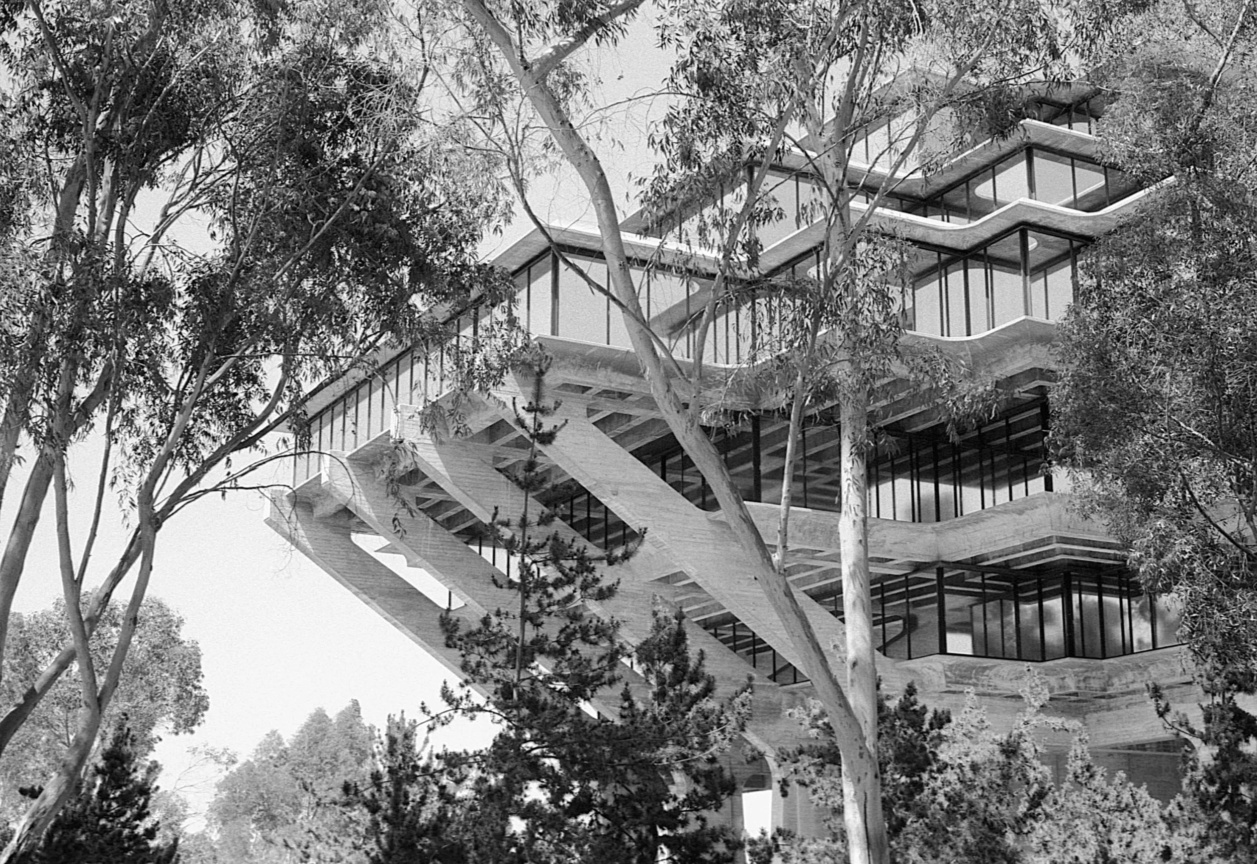 Stephen Clarke UCSD library San Diego 1987.jpg