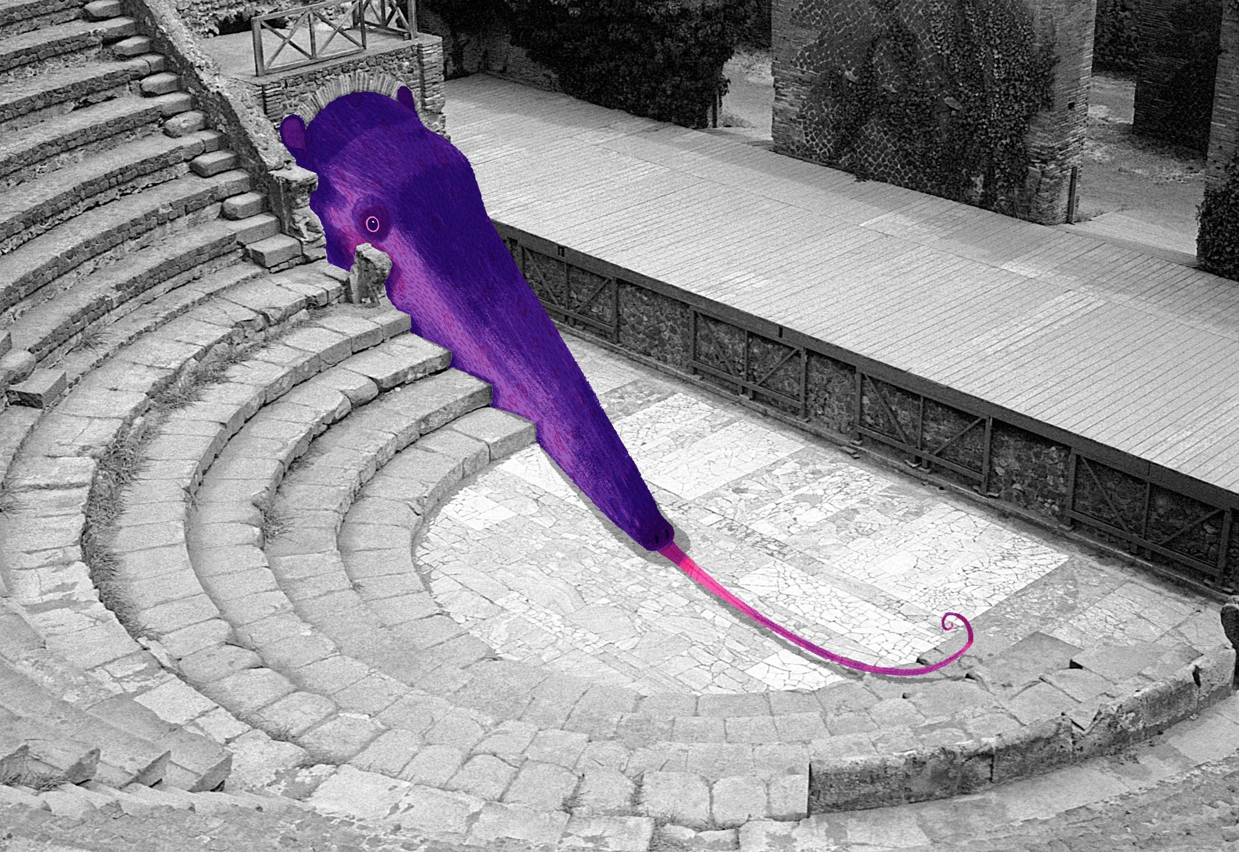 Steph Coathupe and Stephen Clarke  Up Deva Anteater 2023.jpg