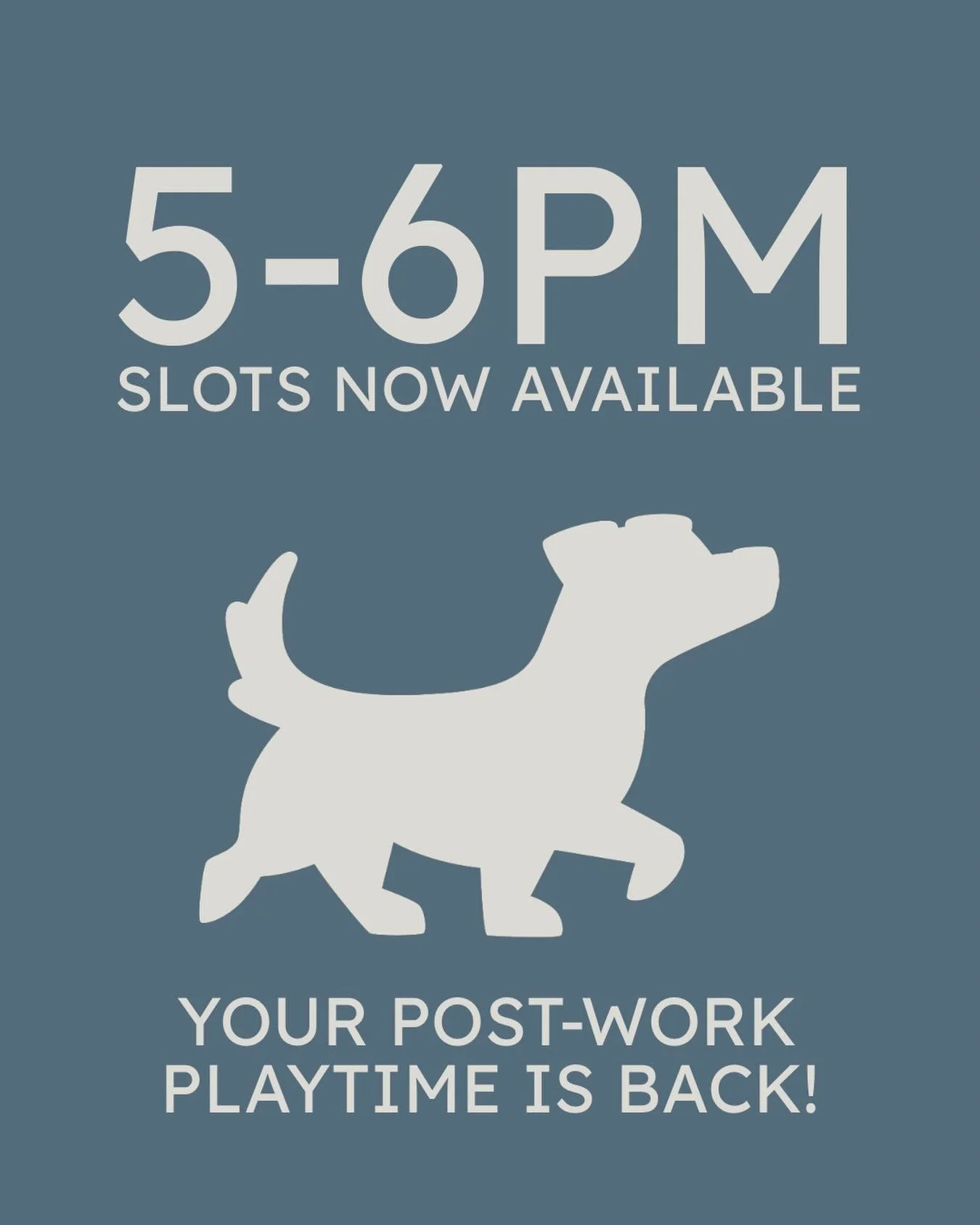 Clocked off? Hit The Paddocks! 🐾

Who else is loving these lighter evenings? 😍 we certainly are! With the longer daylight hours rolling in, we&rsquo;ve opened up our 5&ndash;6pm slot, perfect for those after-work zoomies and a good end-of-day runar