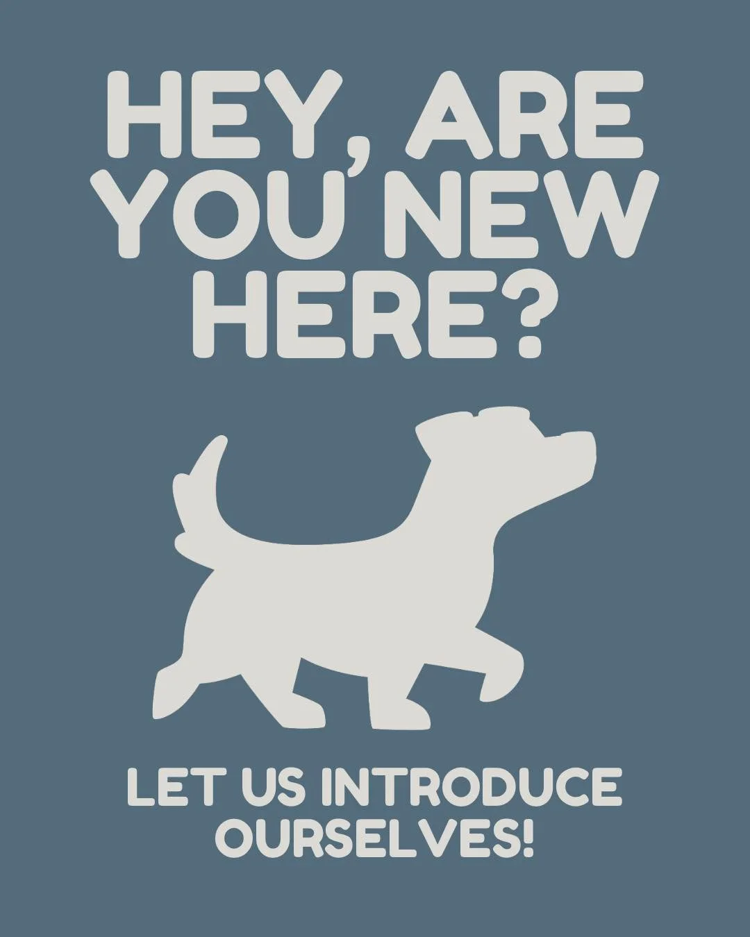 Hey! New here and thinking of visiting us? 🐶

Swipe to find out what The Paddocks is, where our fields are located, and how to book your visit.

We can&rsquo;t wait to welcome you and your dogs! 🐾

.
.
.

#SecureDogField #offleadadventures #cambrid