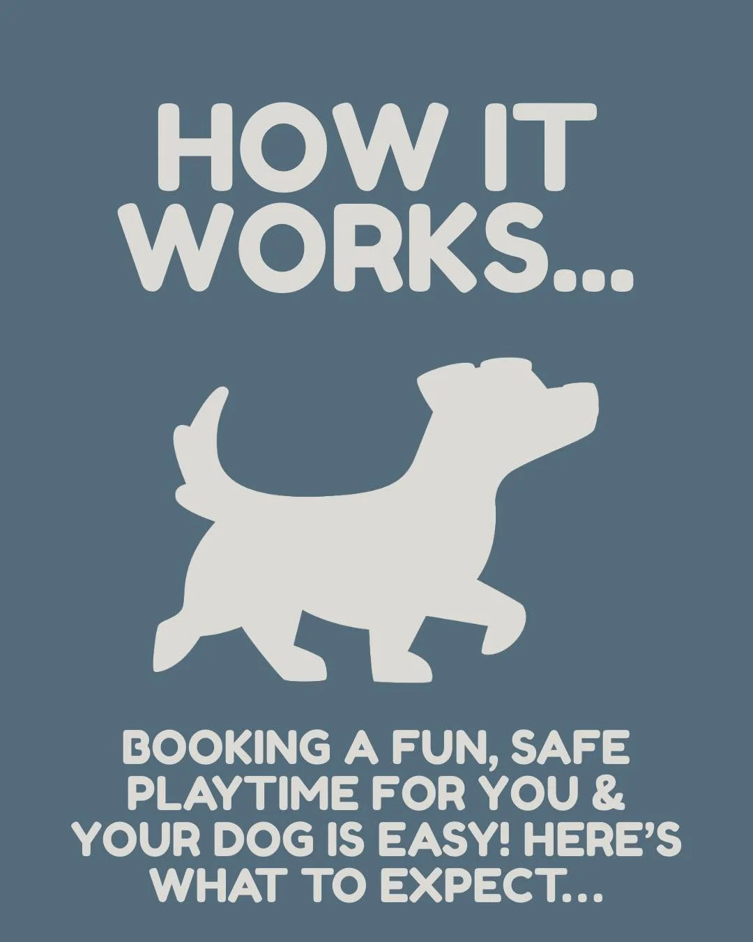 Ever wondered how our dog fields work? 🐶

Swipe through to discover how to unleash endless adventures, tail wags guaranteed! 🐾

.
.
.
#ThePaddocks #SecureDogField #offleadadventures #happydogshappylife #cambridgeshiredogs