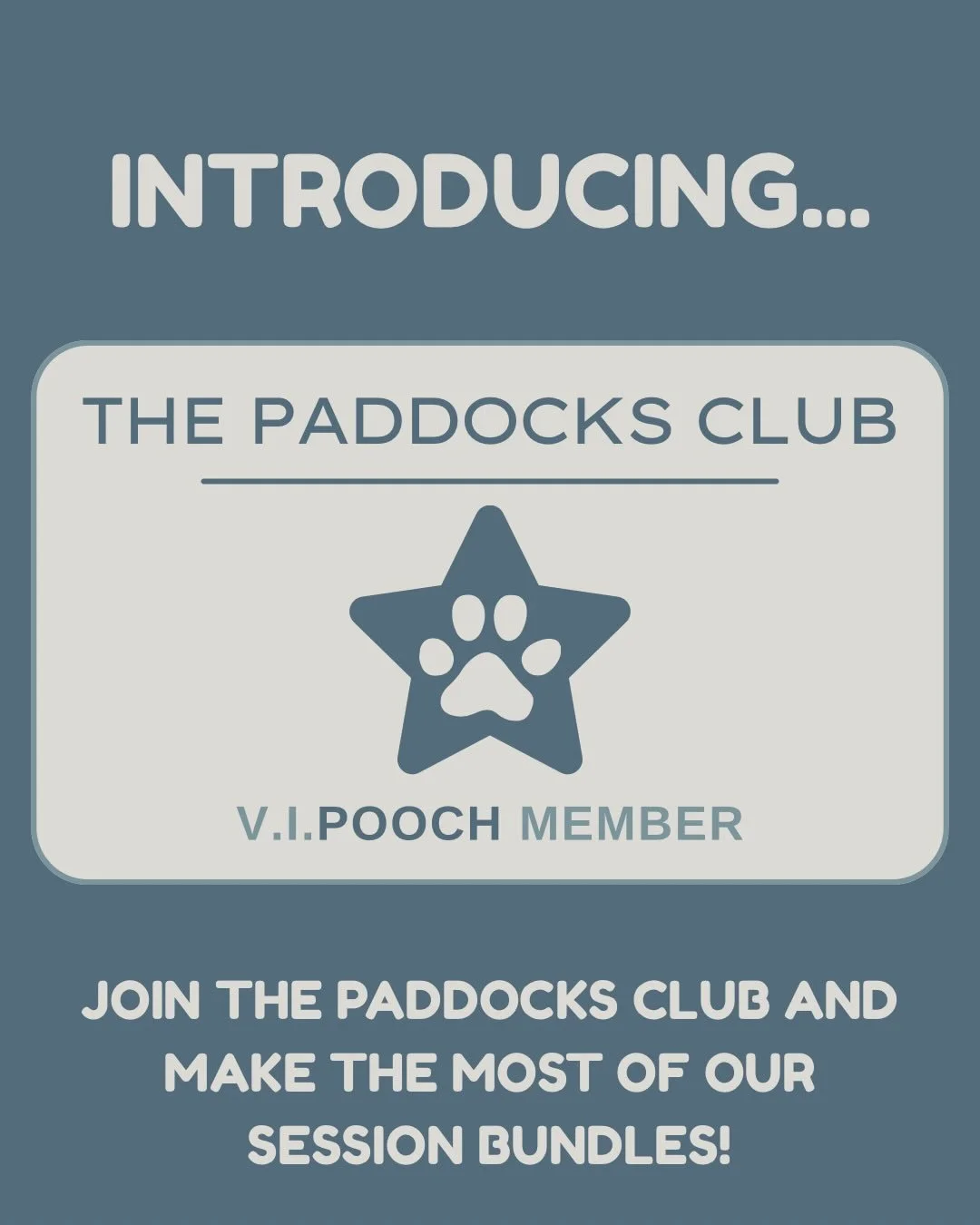 Just a lil something for our V.I.Pooches...

The Paddocks Club is here 🐾

Our new session bundles have gone live, swipe to find out more ➡️

.
.
.

#ThePaddocks #ThePaddocksClub #VIPooches #DogWalkingField