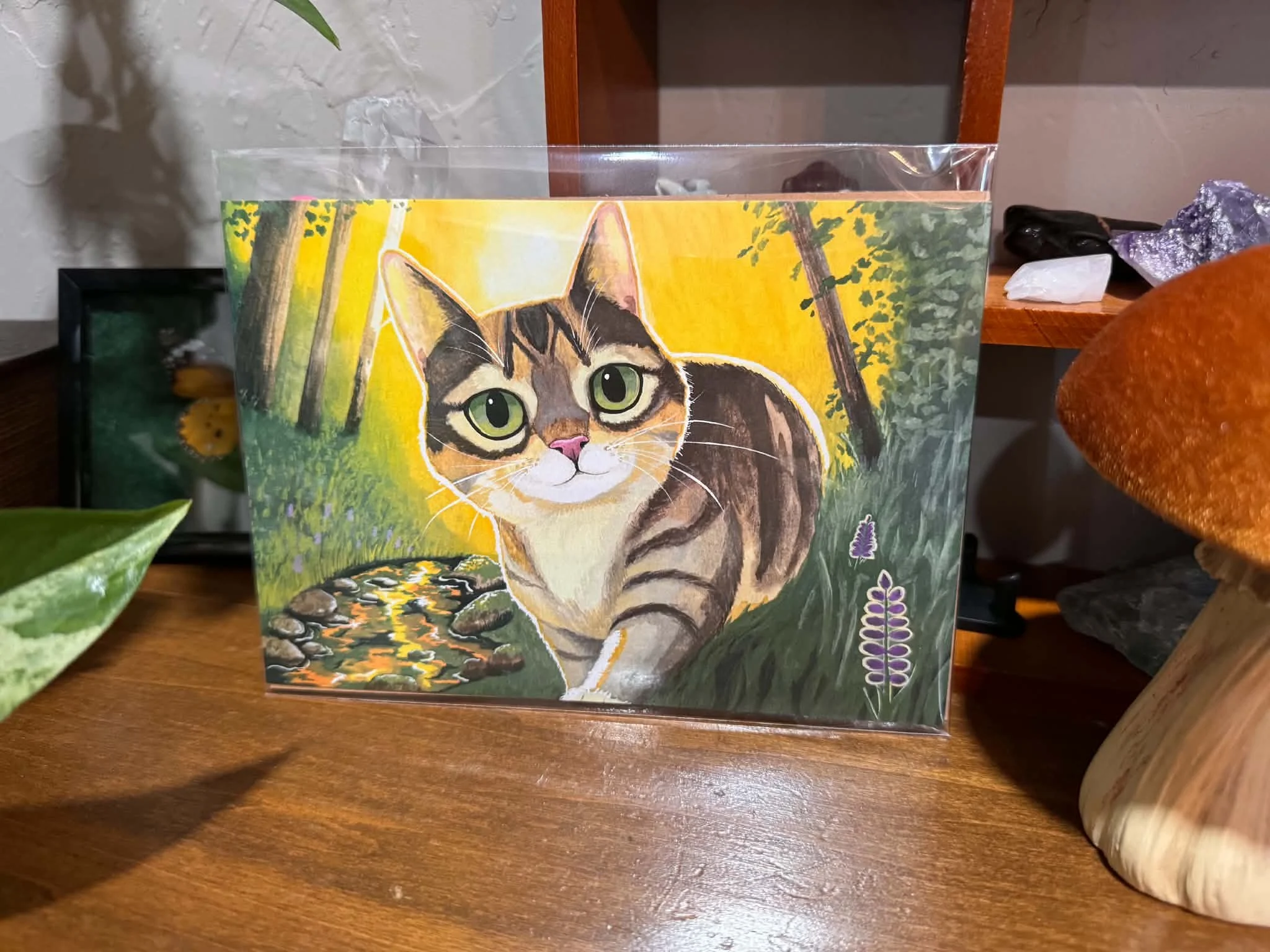 a6c99732-86f7-4322-8d05-3d5783dfa0a8.jpg